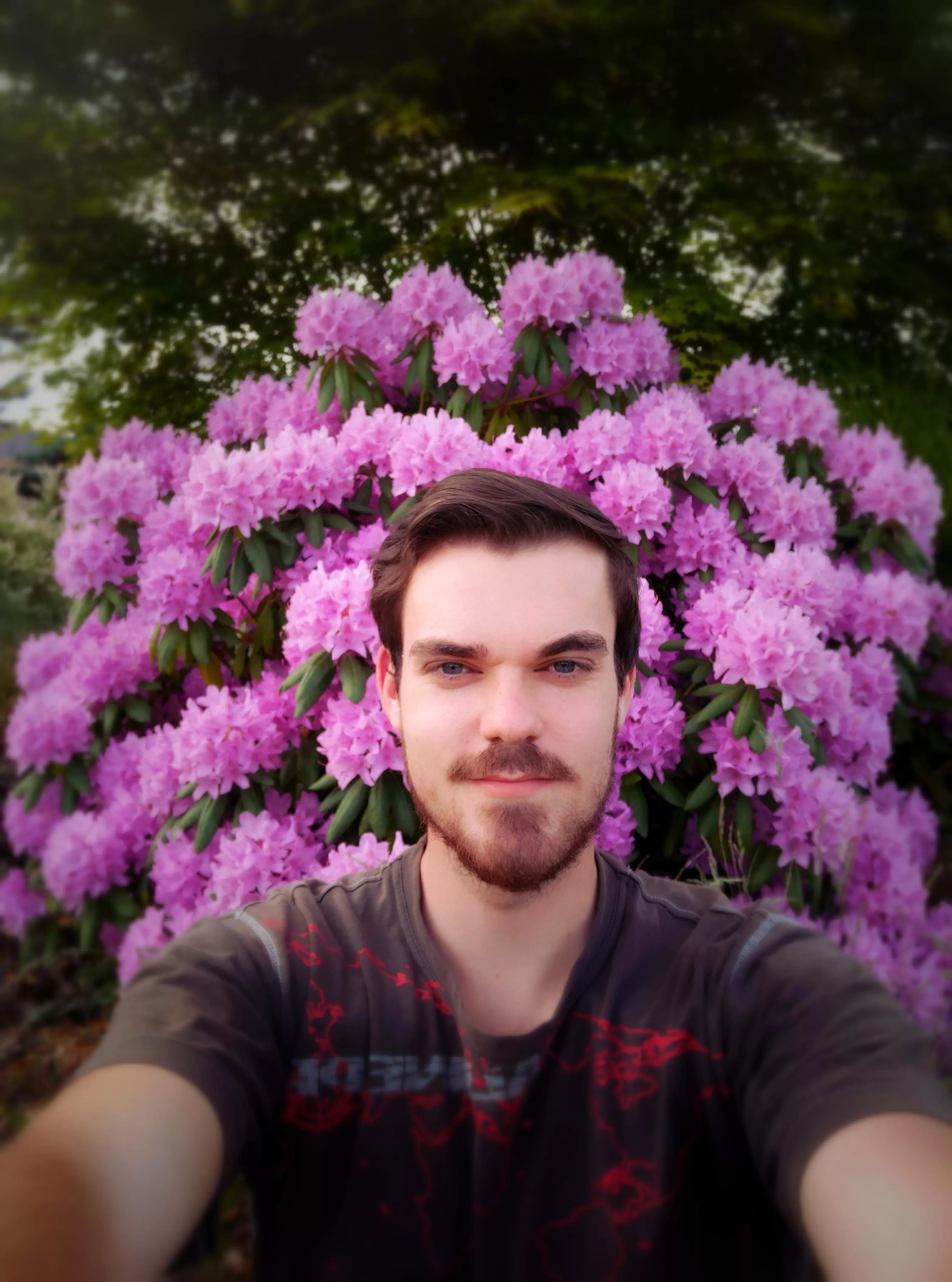 My favourite flower in my garden started to blossom 🌺.... couldn't help but take a selfie with it.