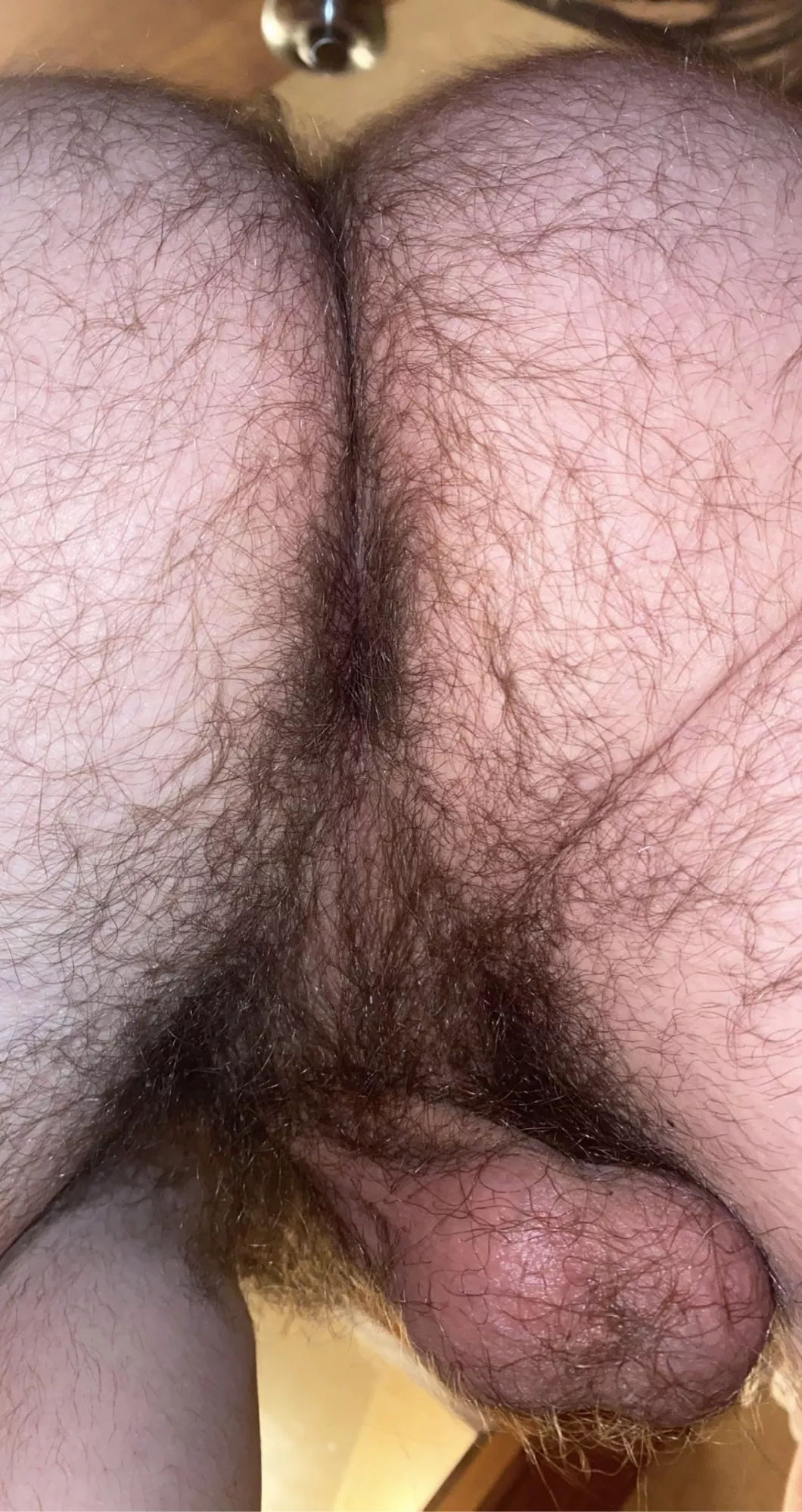 My firet poat. Enjoy my hairy ass and balls