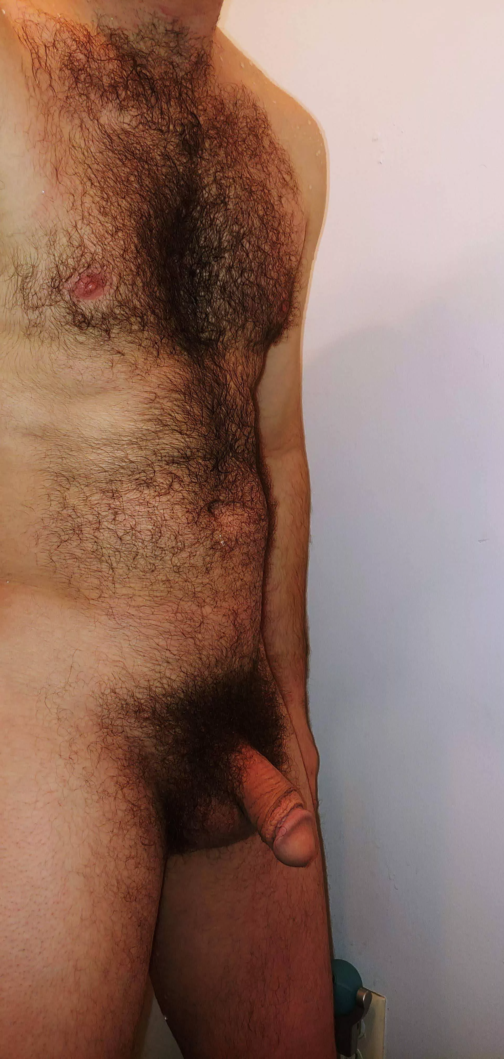 My hairy dick. Chat with me! I wanna see huge bushes and hairy balls