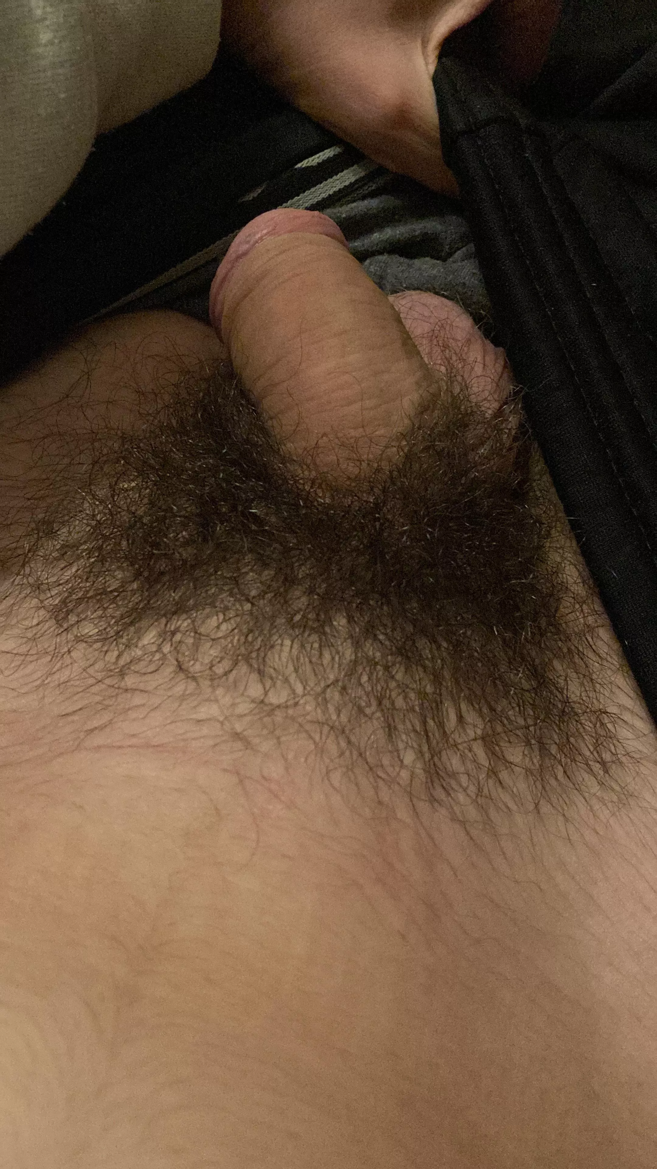 My hairy Softie