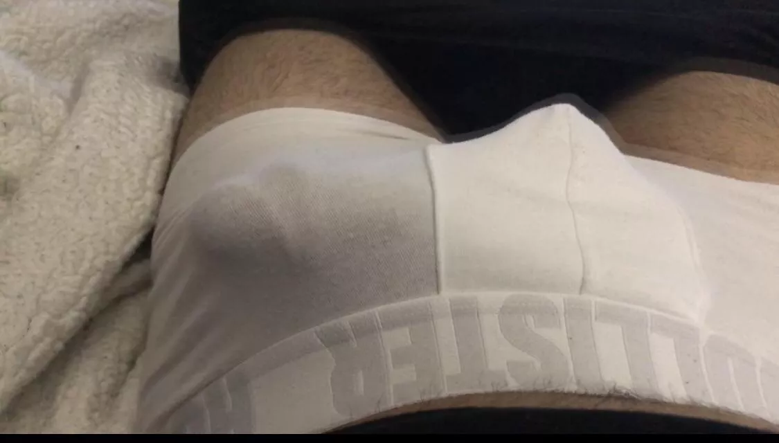 My meaty bulge