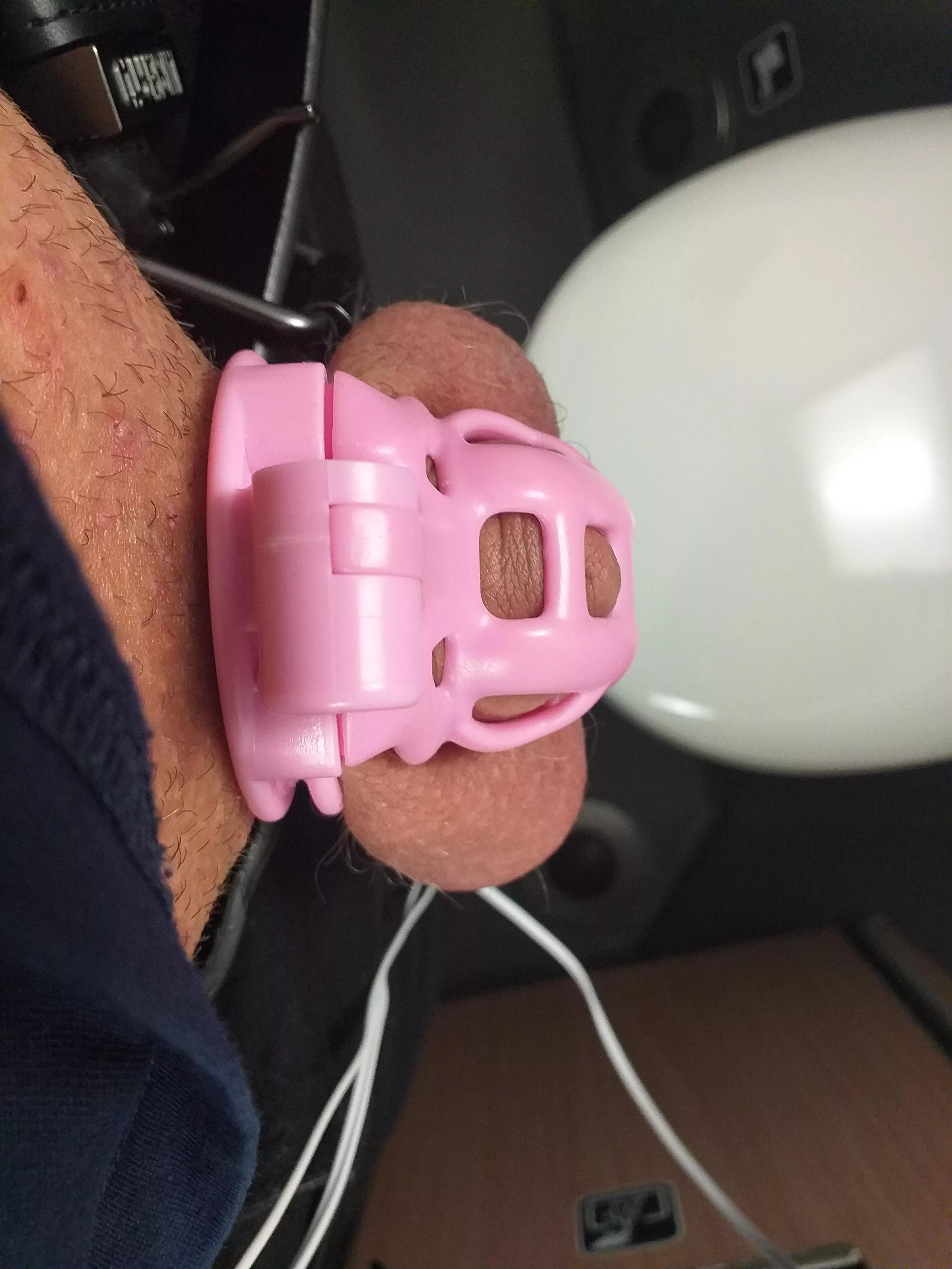 My pets pretty pink chastity cage