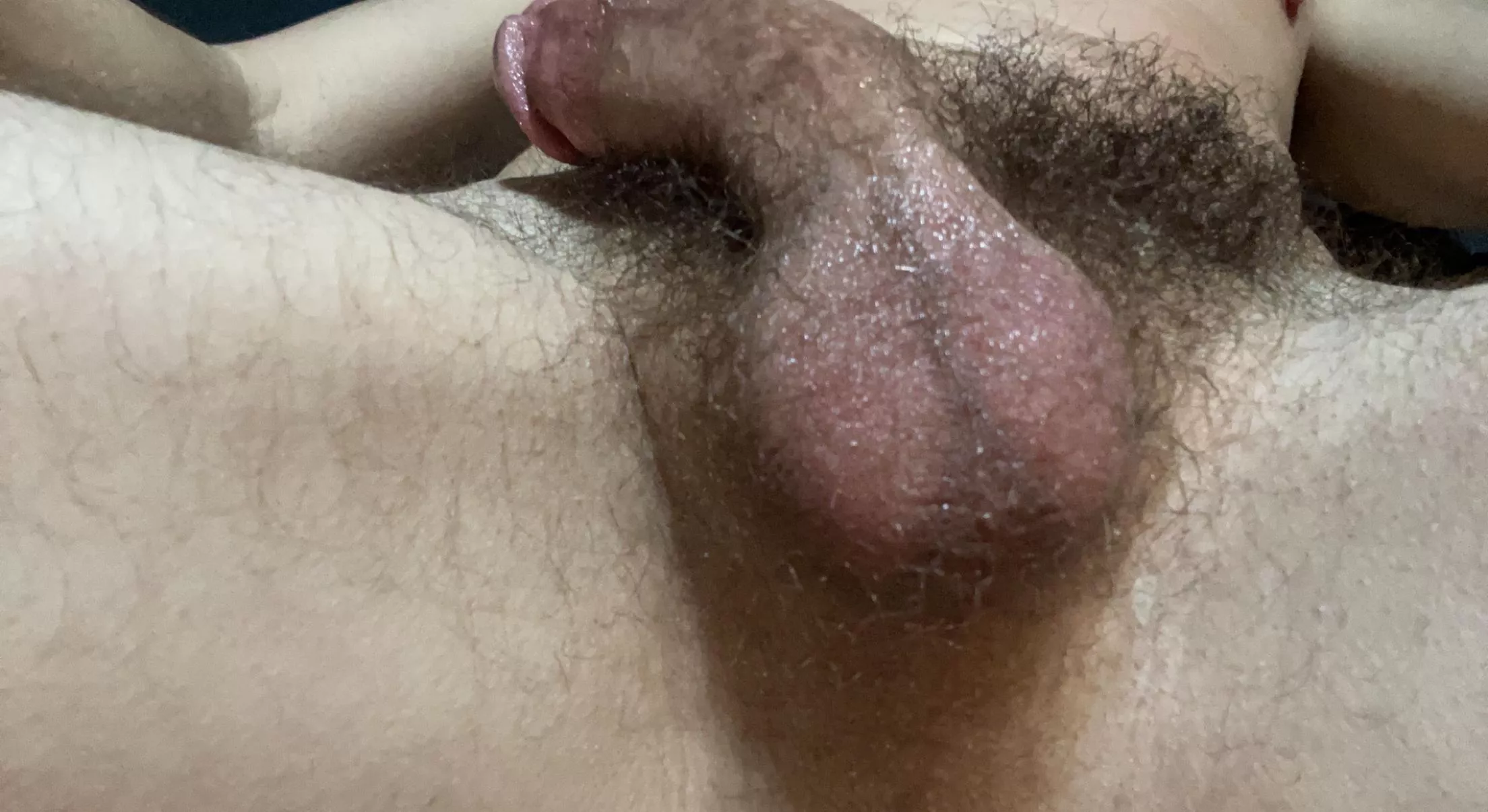 My pubes today