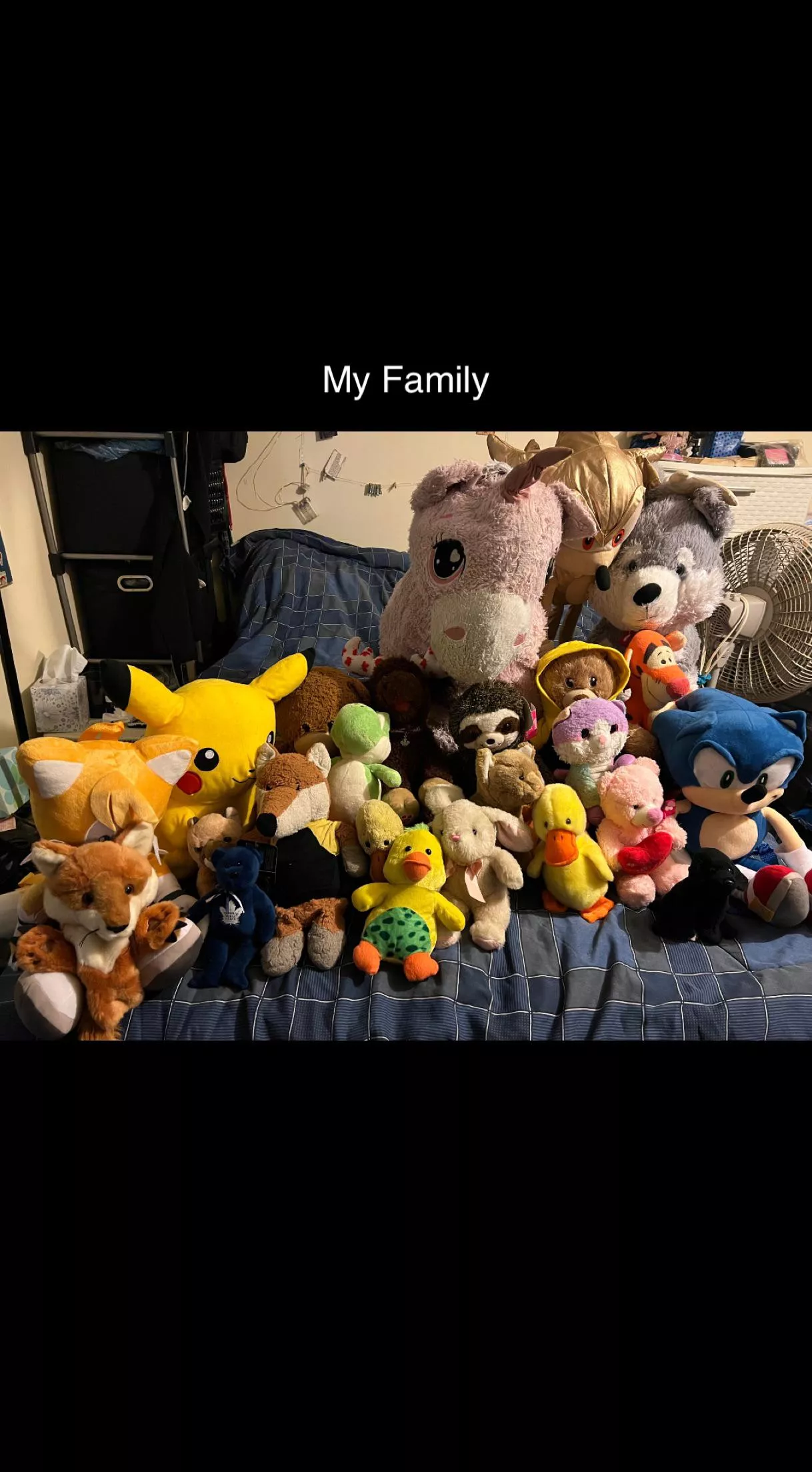 My stuffy family all their names are on my profile