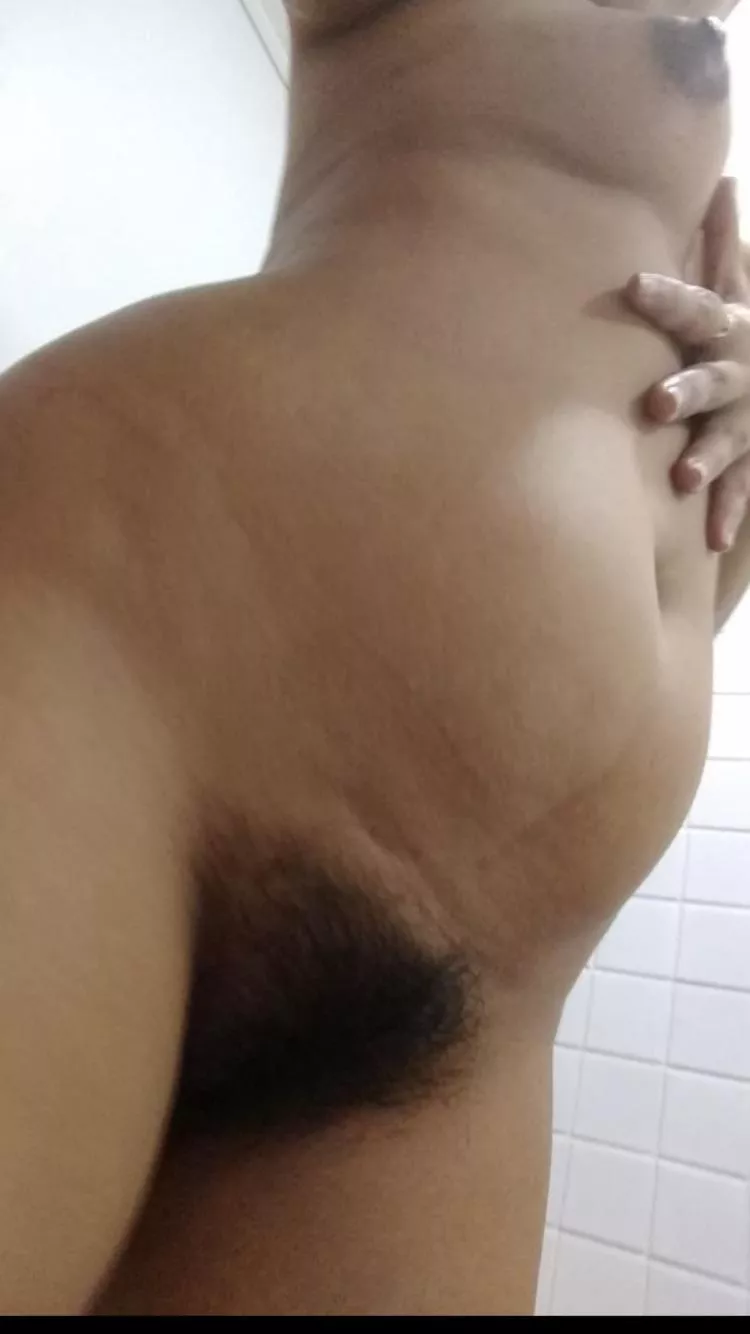 My sweet bush is coming back (f)39