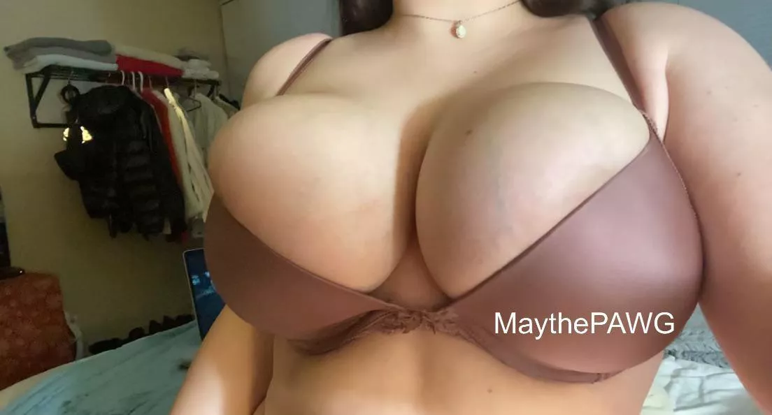 My Tits deserve to be Fucked and left dripping in your cum