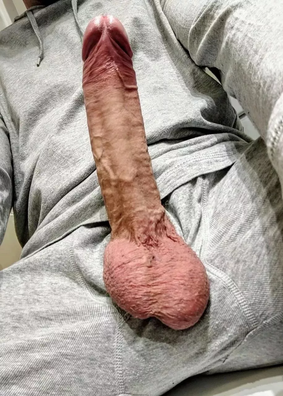 [M]y trench digger 🍆