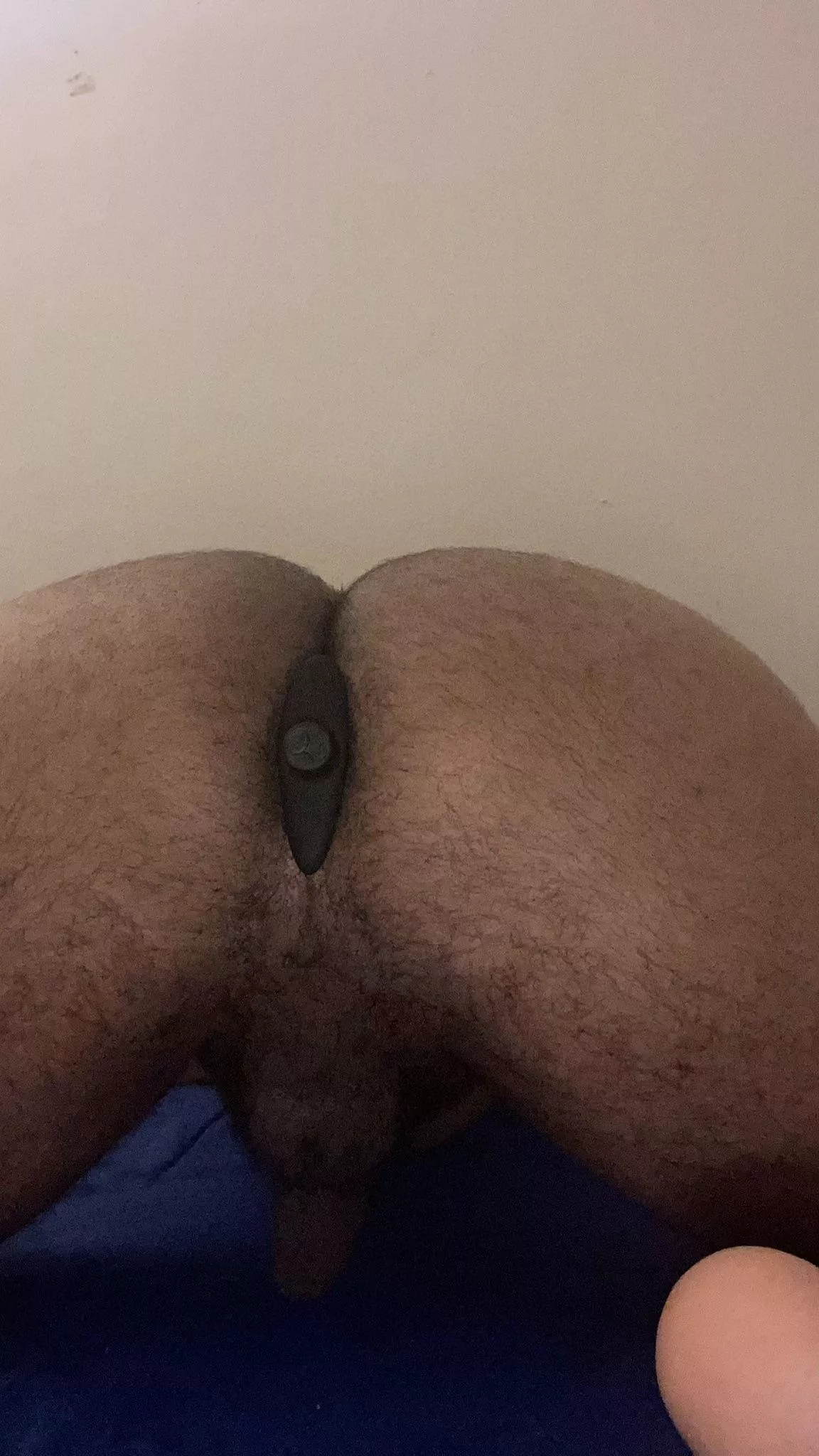 My vibrating anal plug is so fun!