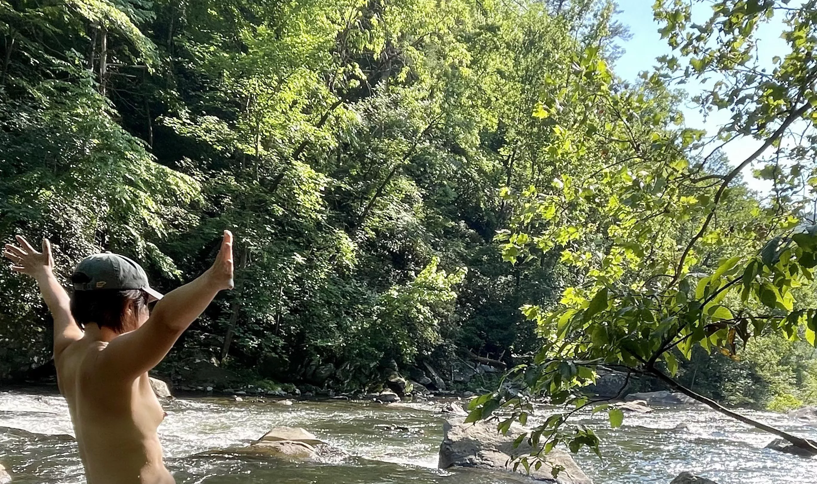 Nantahala Forest