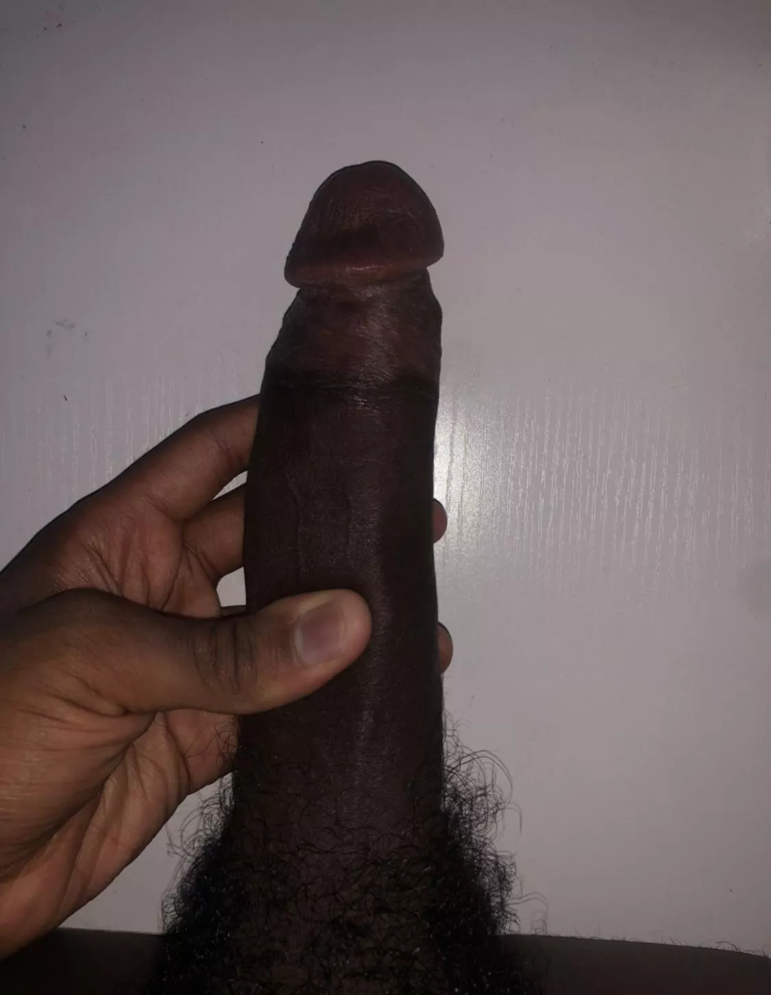 Need a mouth on my shit