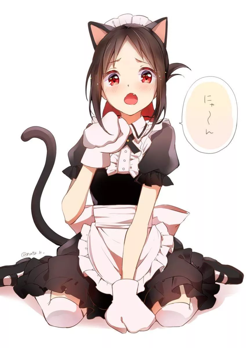 Neko Maid Kaguya