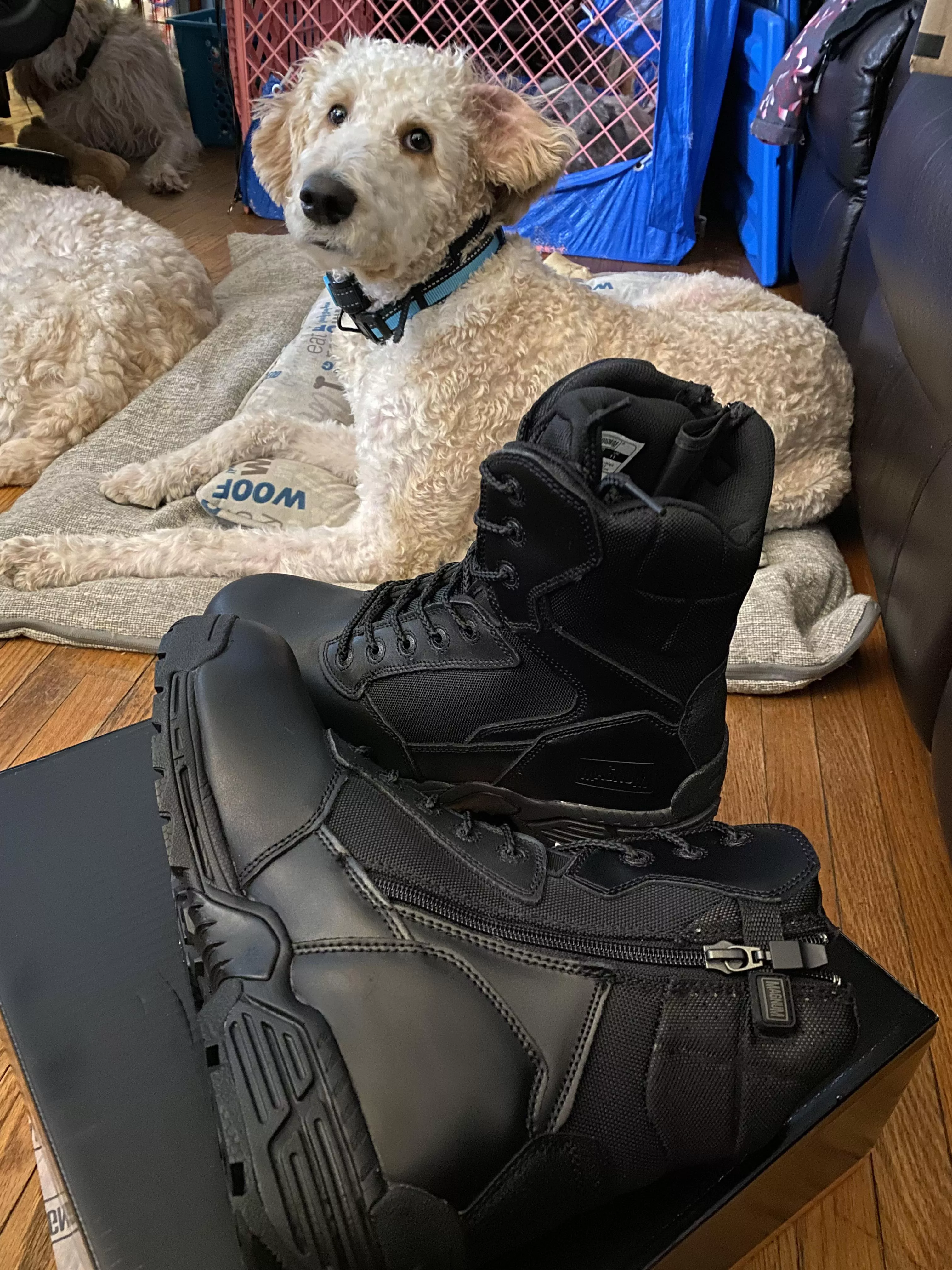 New boot day.