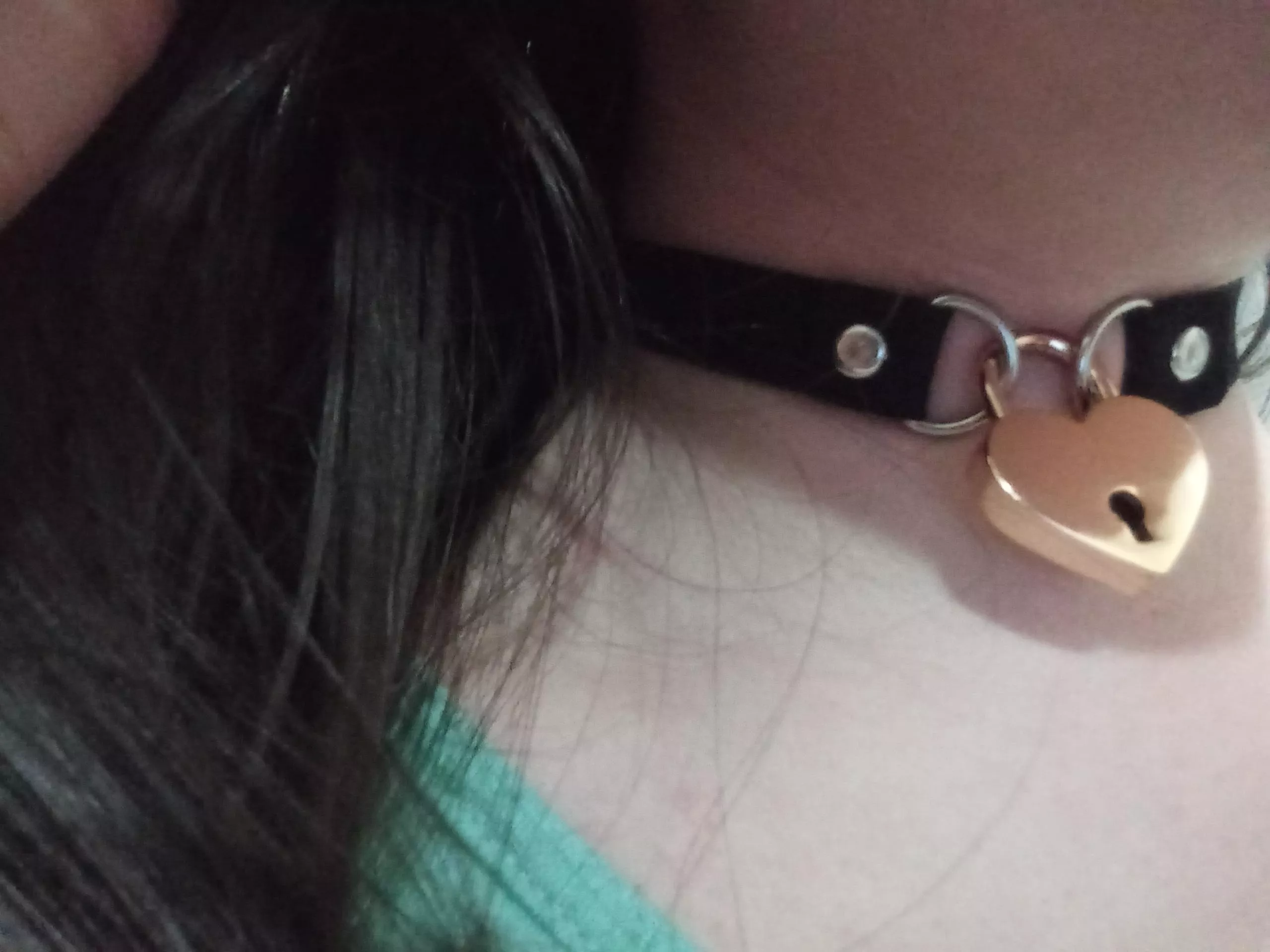 New Collar! <3