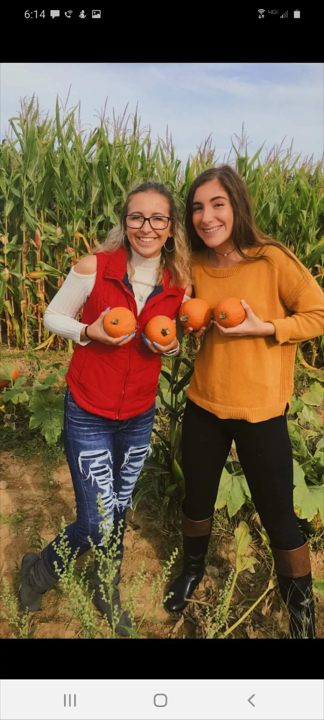 nice pumpkins