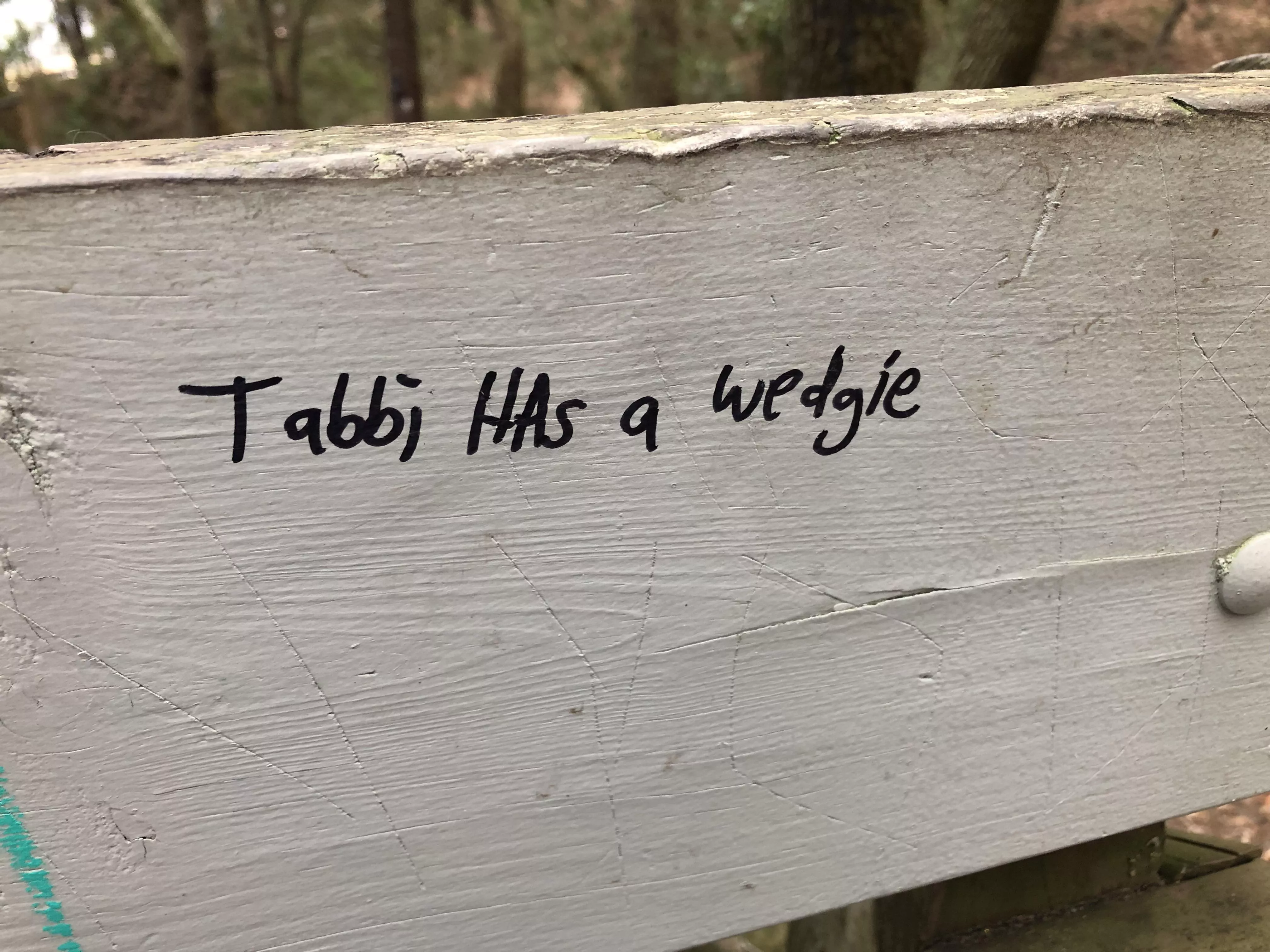 Not sure who Tabbi is, but apparently she has a wedgie according to this park railing