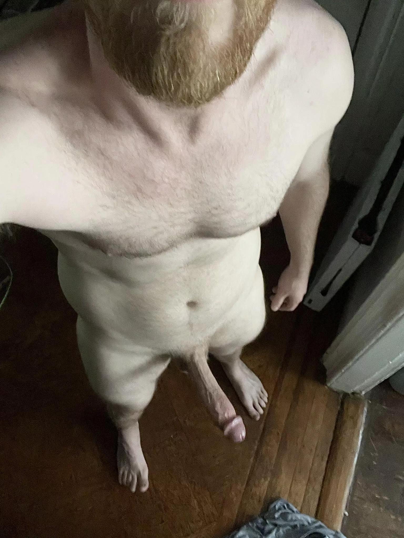 Not usually into breeding talk, but who wants some 6â€™4 Ginger genes?