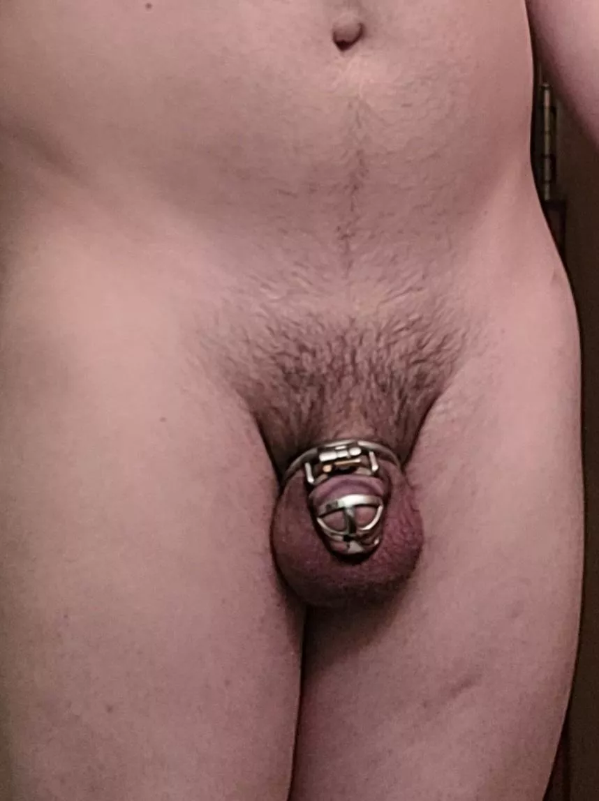 On my 3rd year of chastity with no cumming