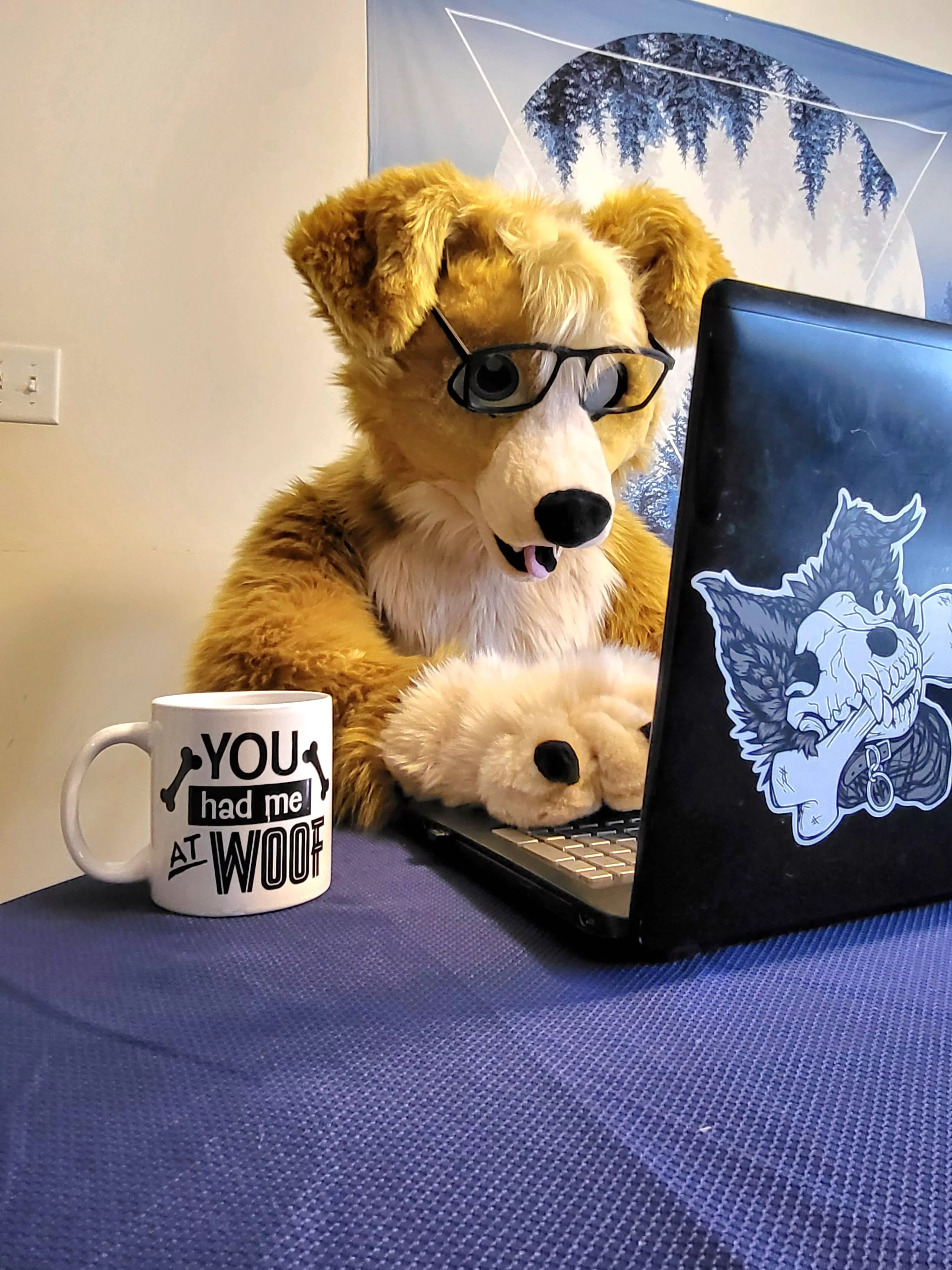 On the Internet, nobody knows you're a dog!