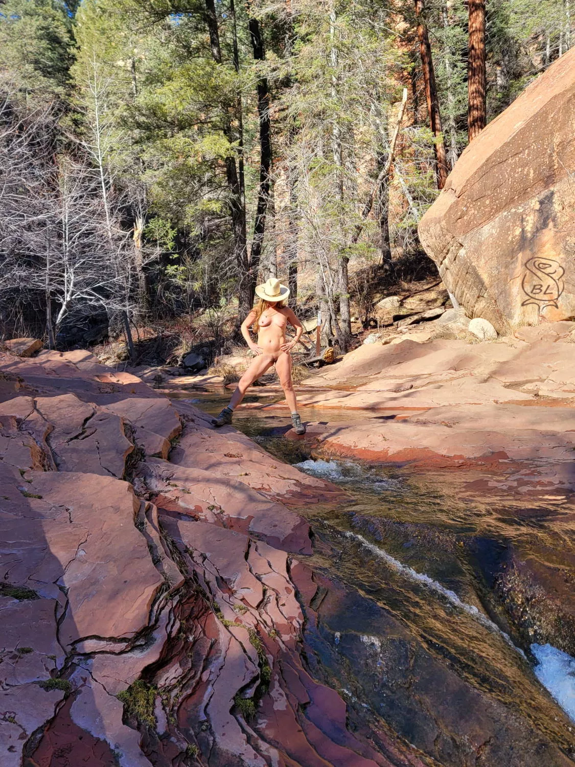 One of the many creek crossings along Oak Creek Canyon's West Fork trail.