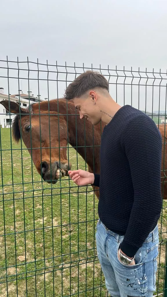 One of the most beautiful animals in the world! 🐴