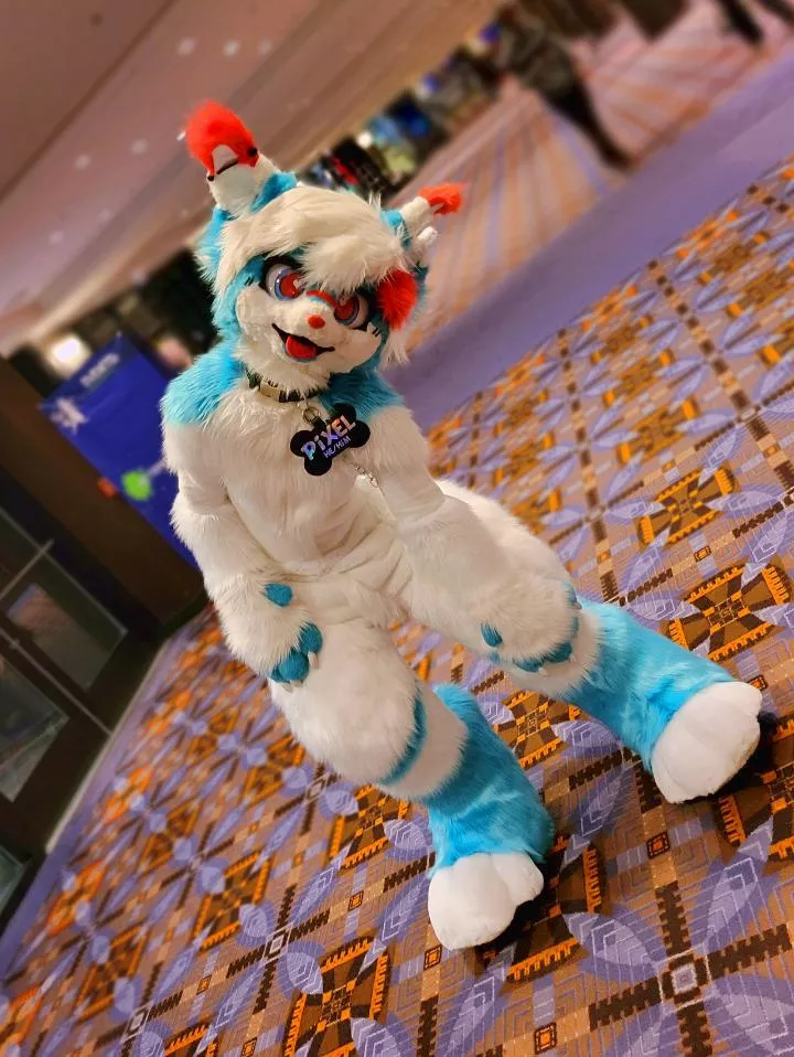 People Forget I Have a Second Kemono Fursuit!!