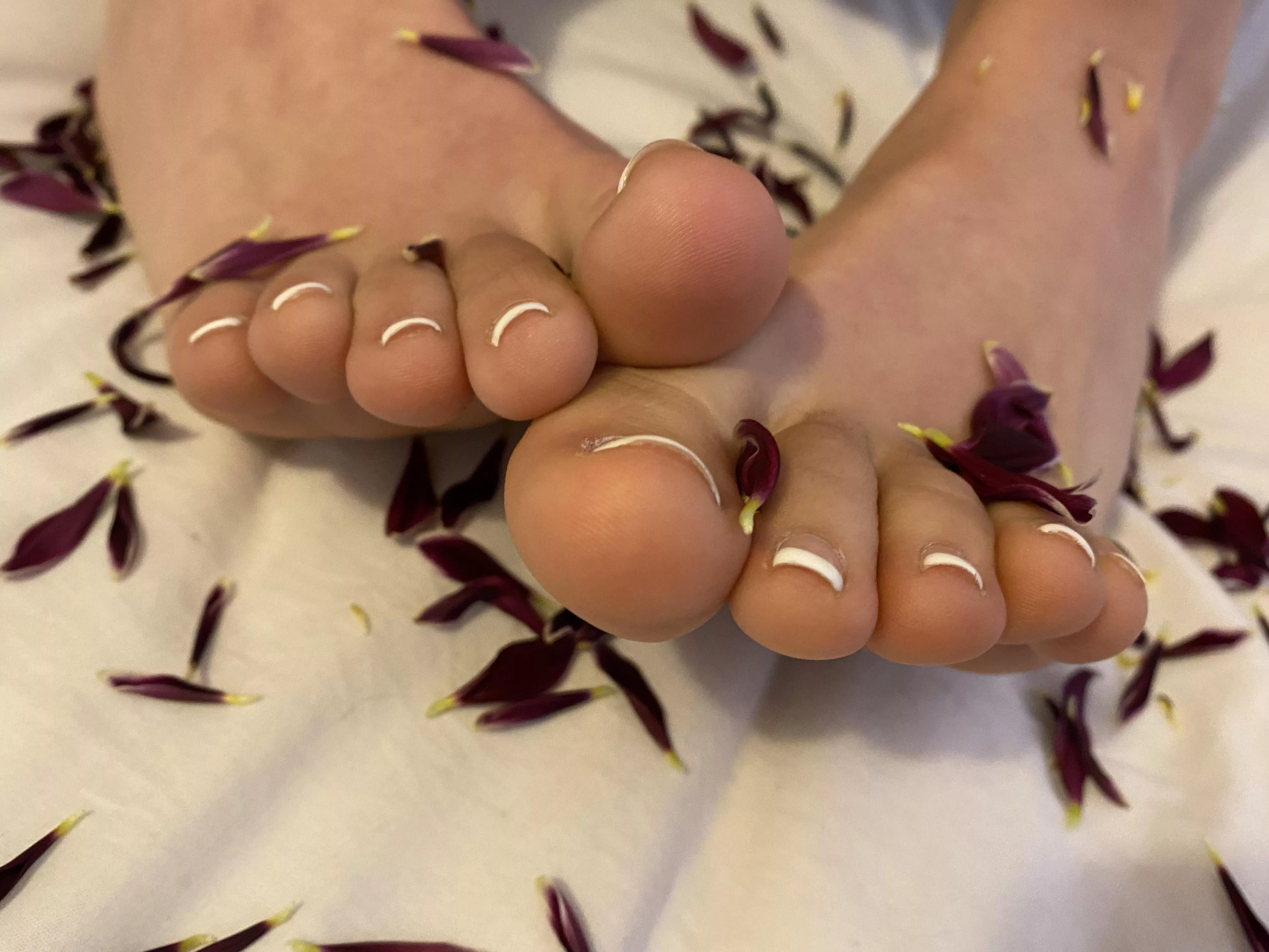 Petal sprinkled toes for dessert? 🌹