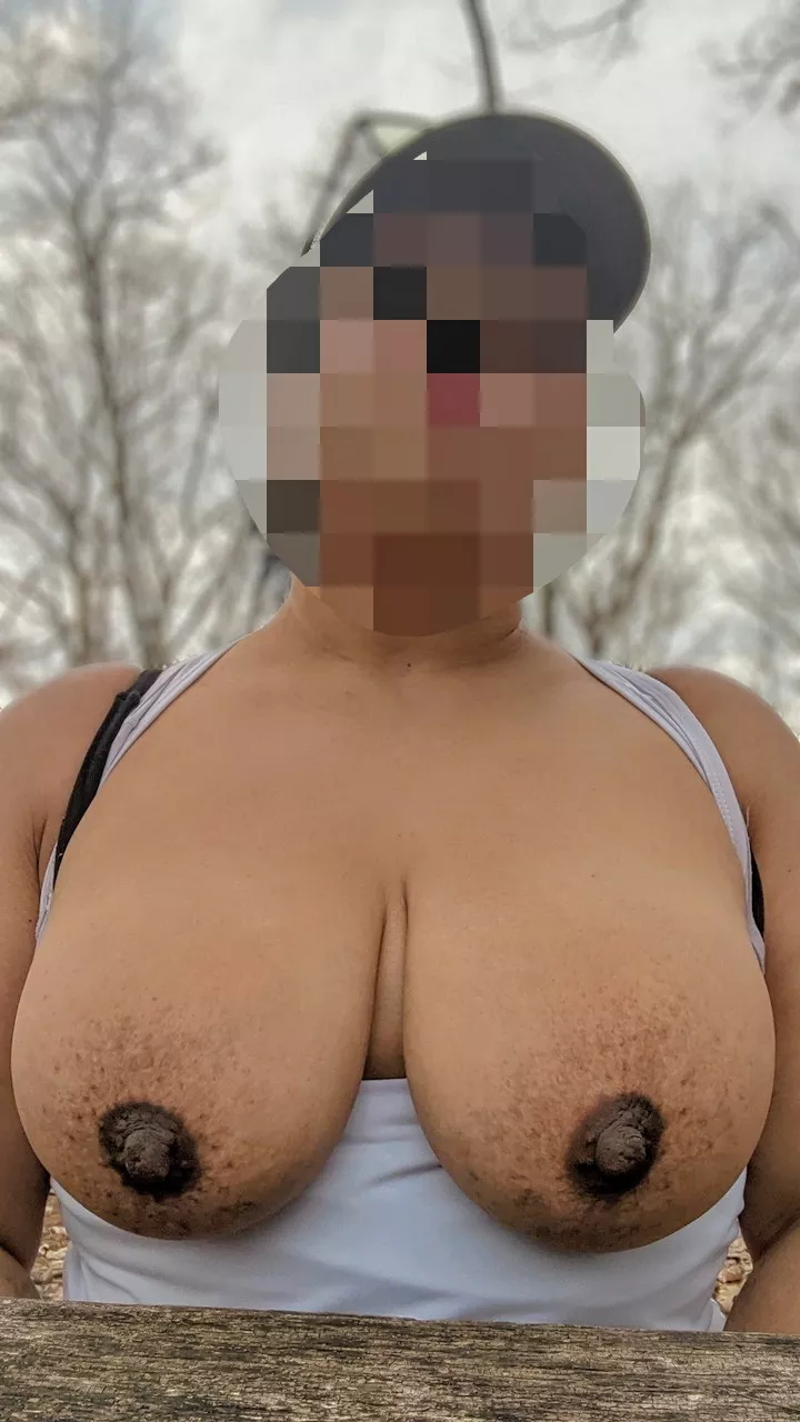 Picnic Titties, Anyone?