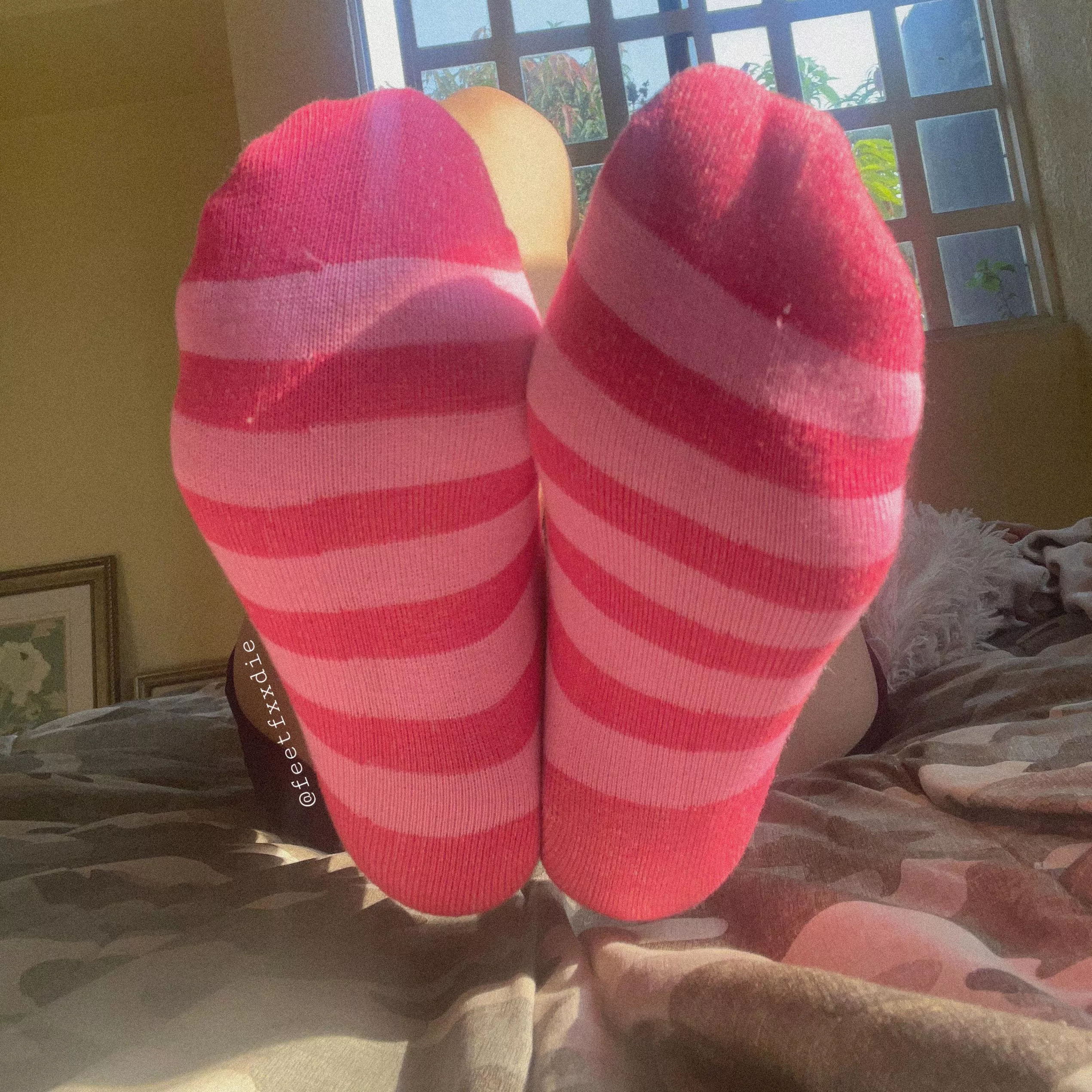 Pink socks 💕 (dms are open)