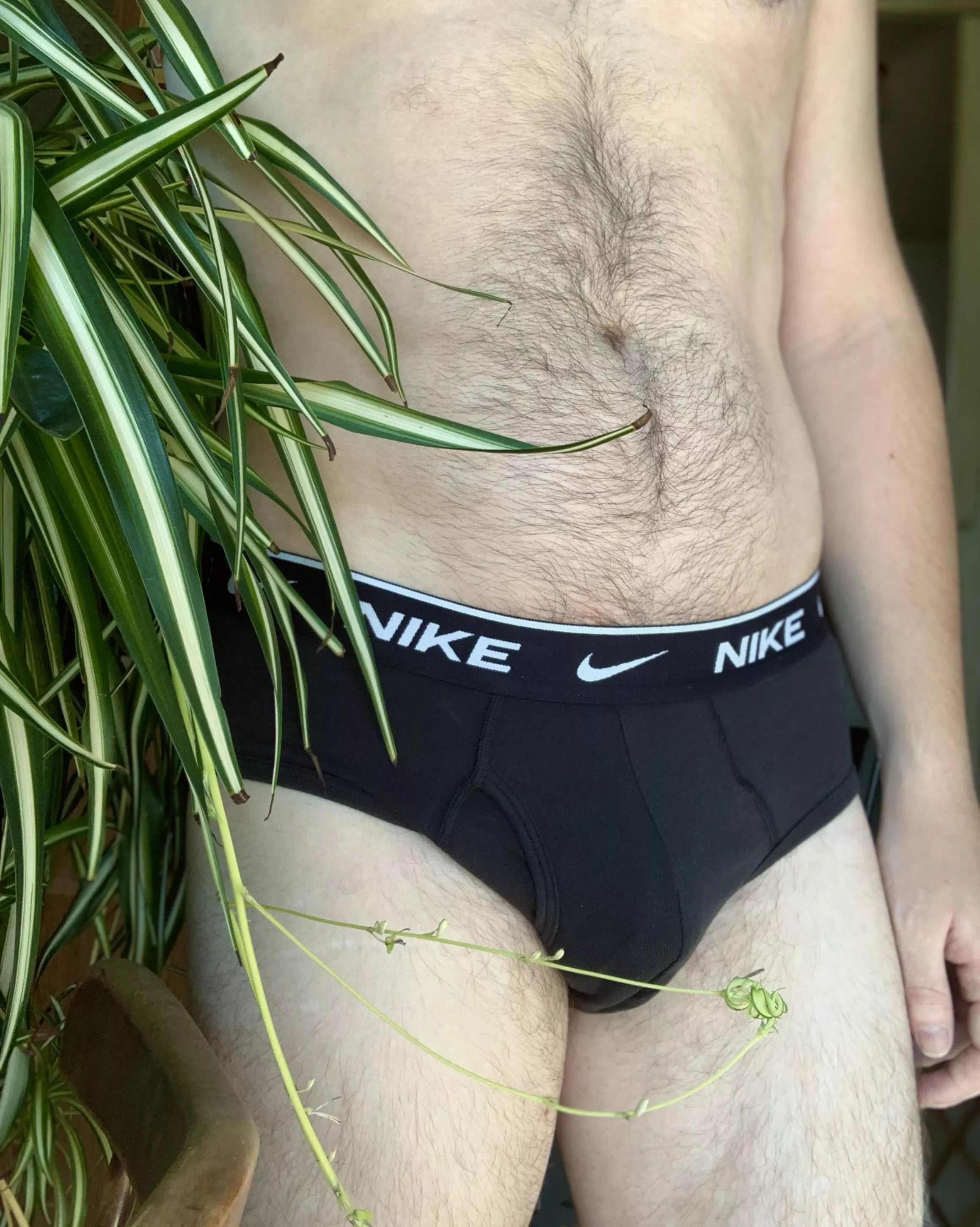 plant daddy in some Nike briefs