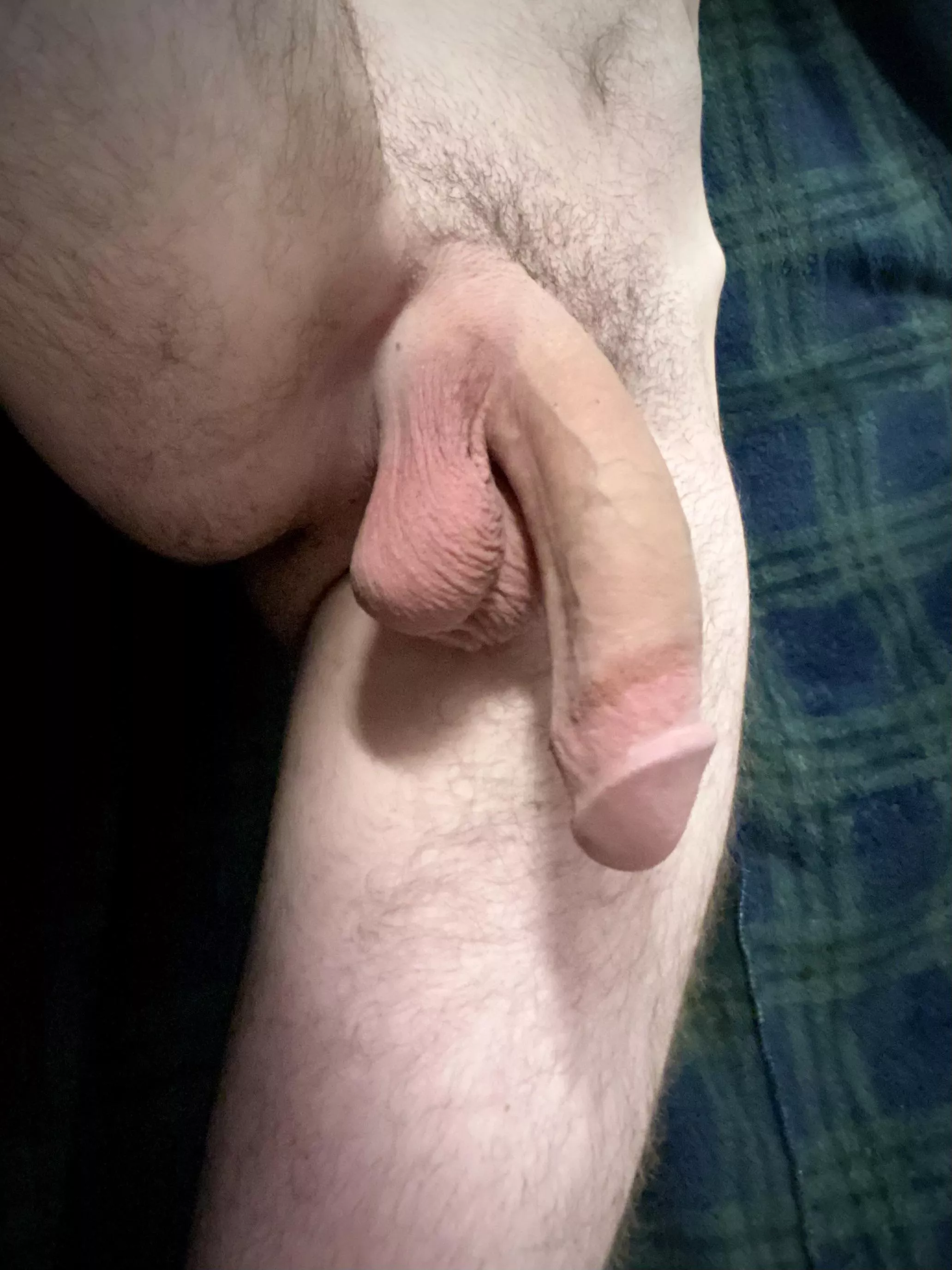 Play with my balls while you suck my cock?