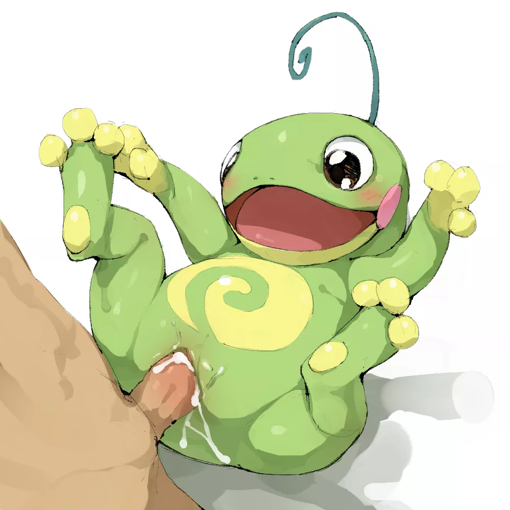 Politoed. (Youjomodoki)