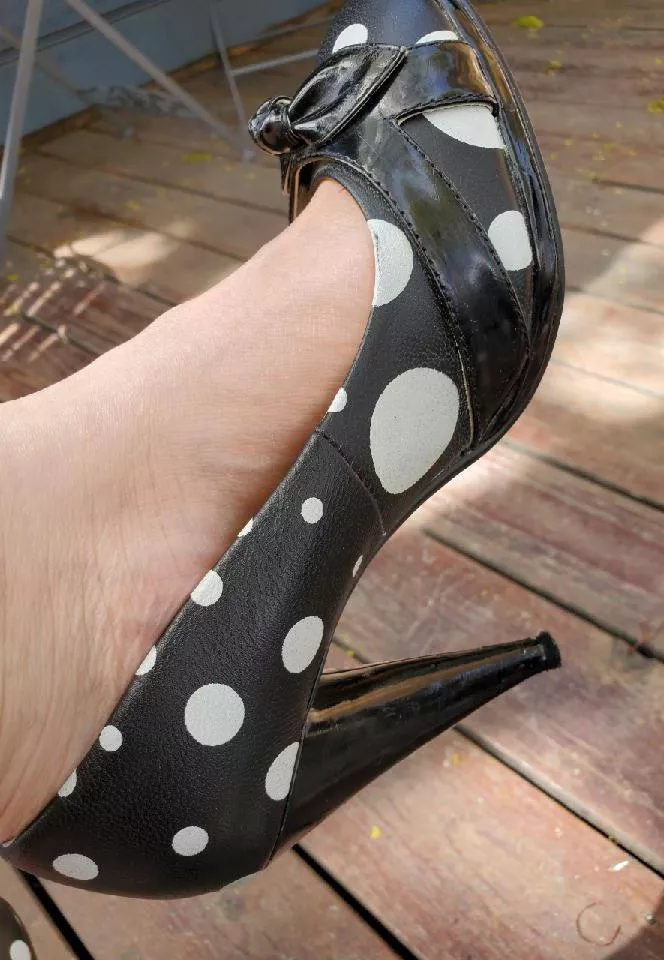 Polka Polka :)