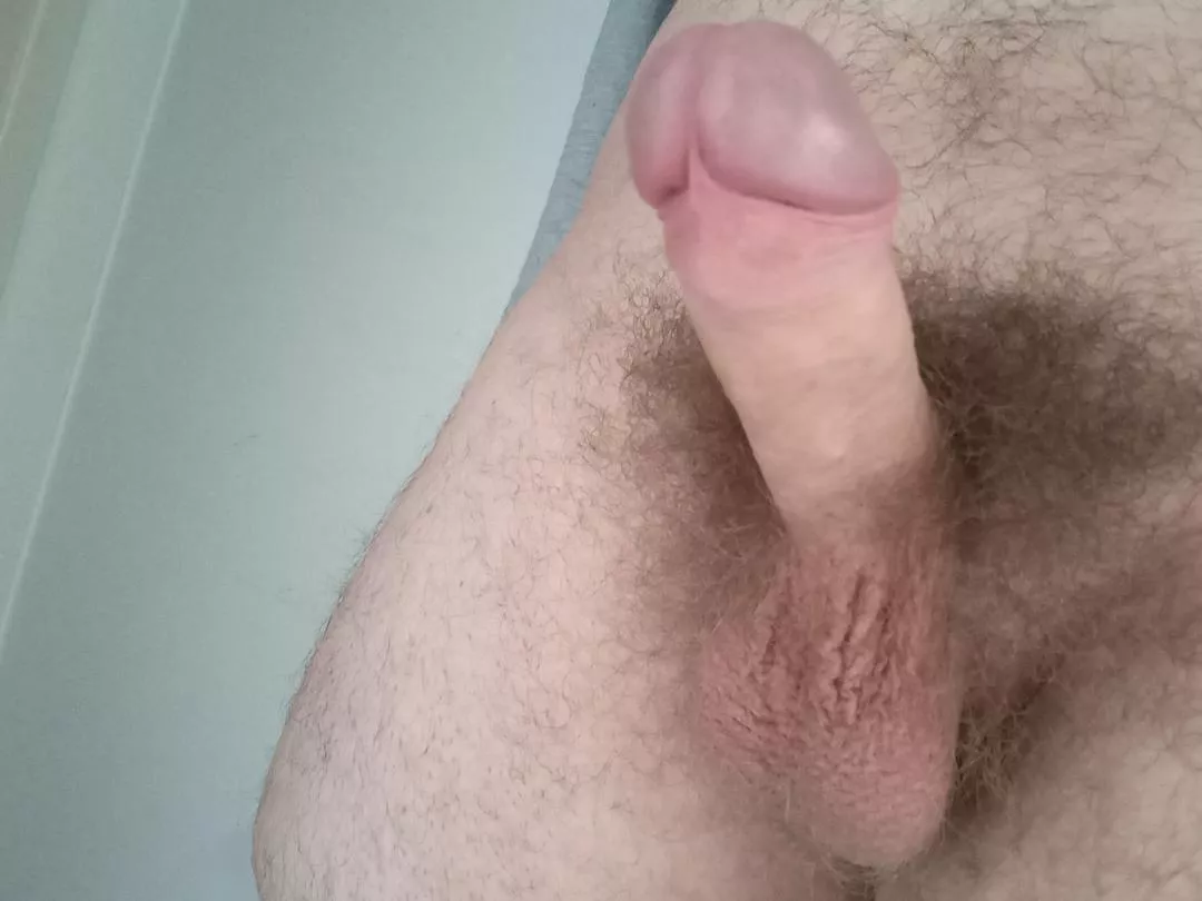 PoV: My morning wood says hello!