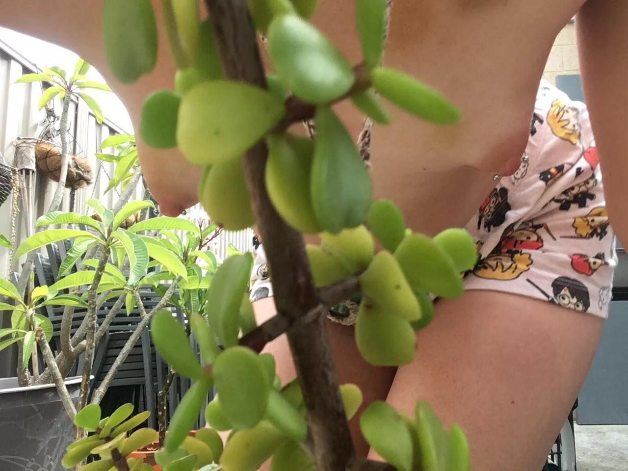 POV what my plants see when I’m in the garden [F] Aussie