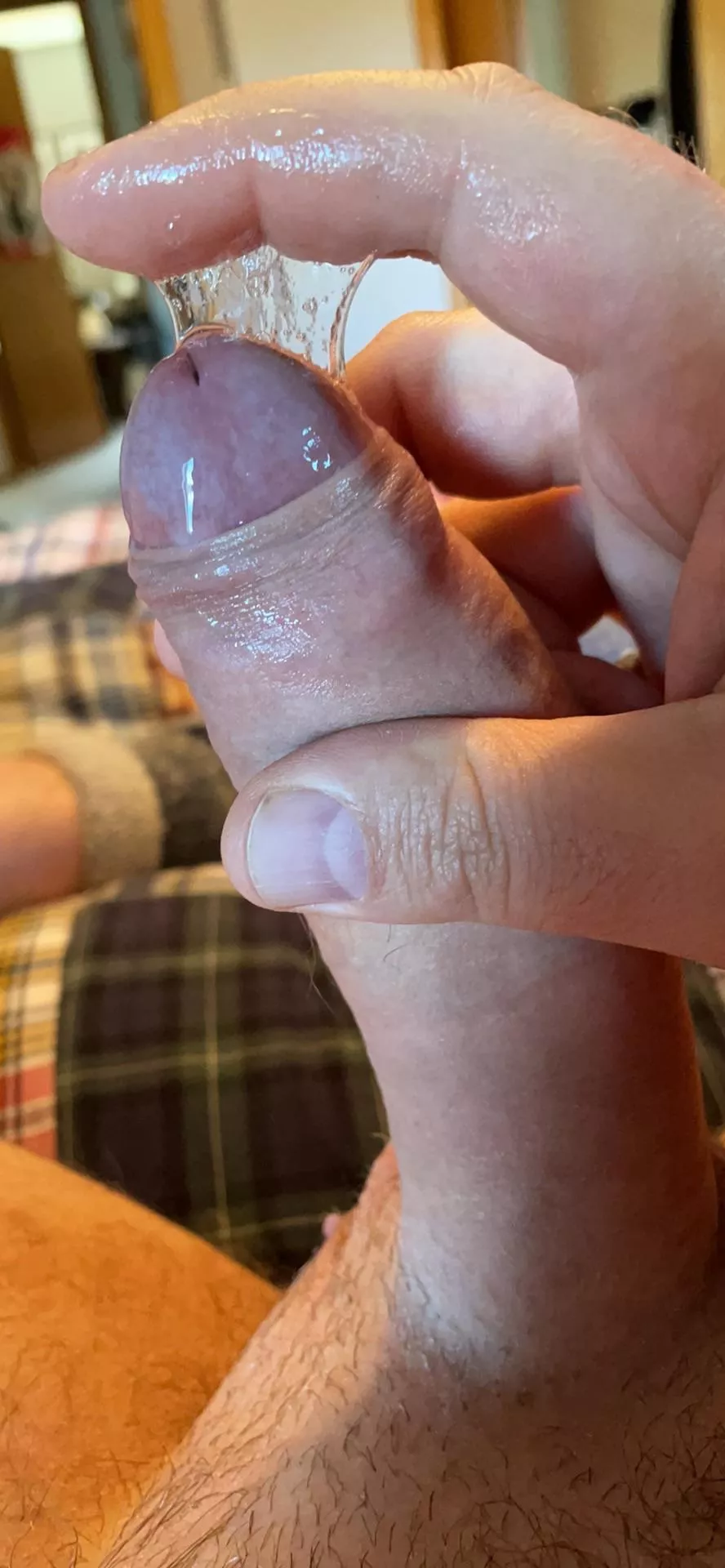 Precum web