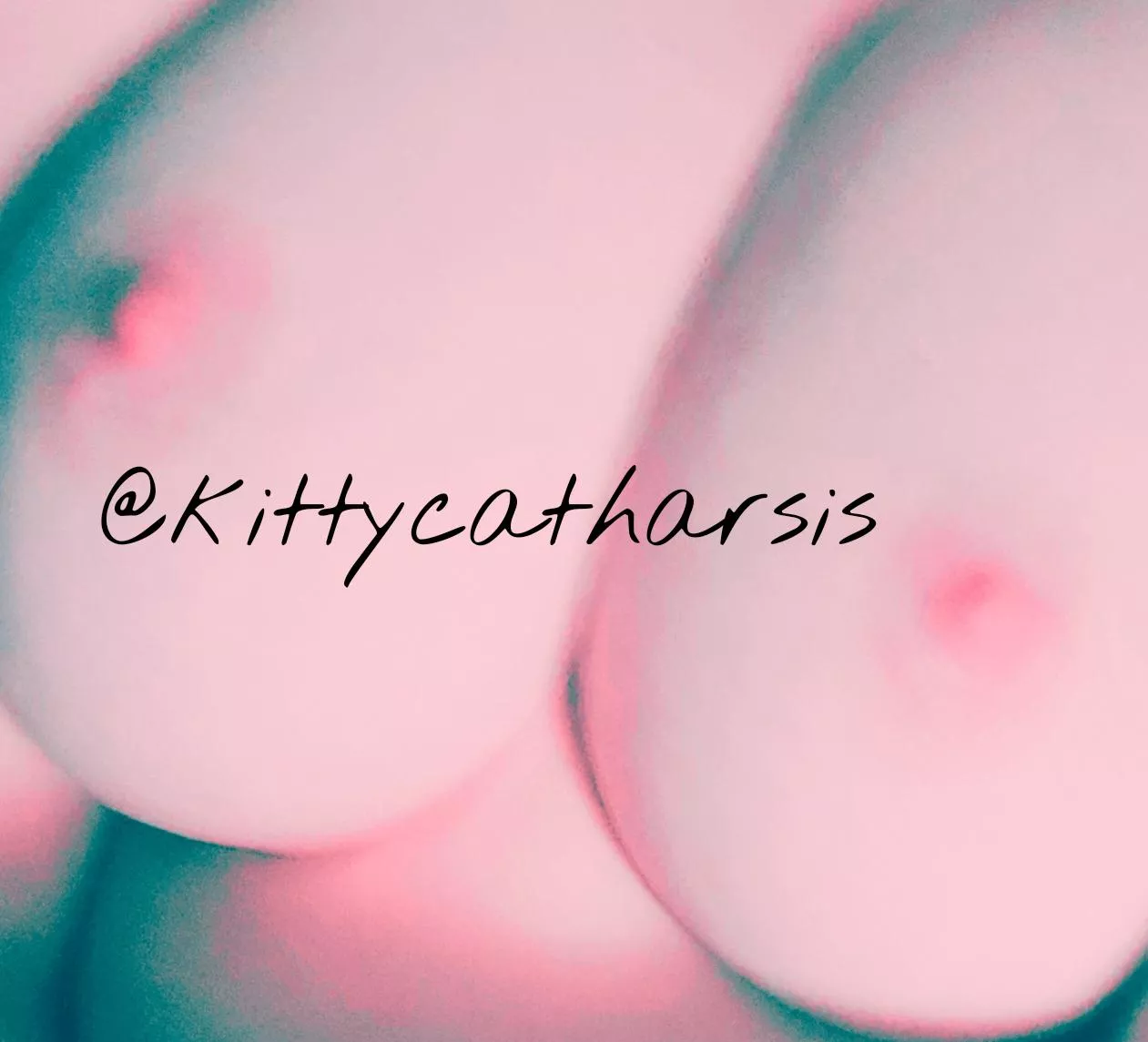 PRETTY KITTY TITTIES