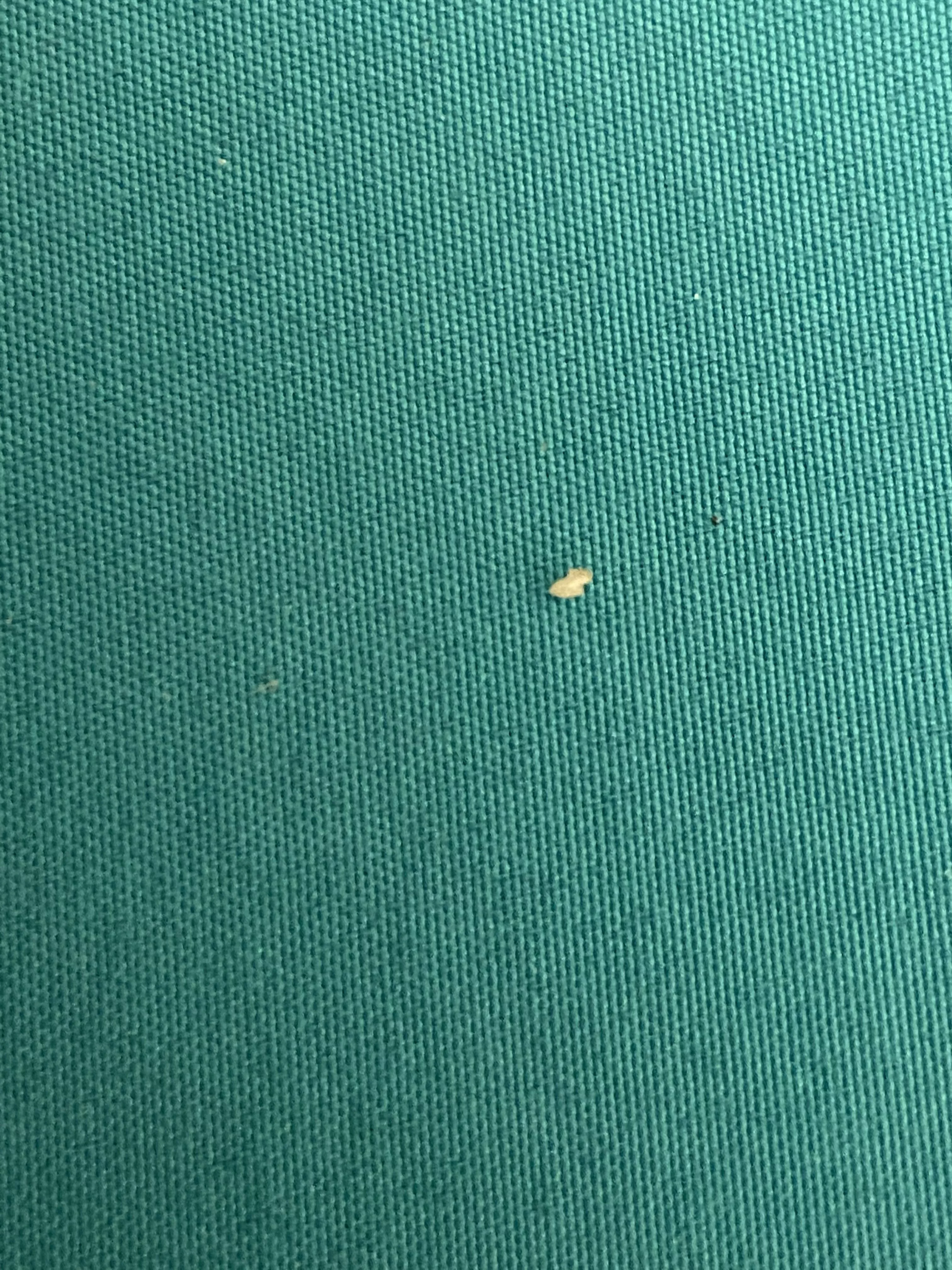 Pulled this gem out of my face after a shower