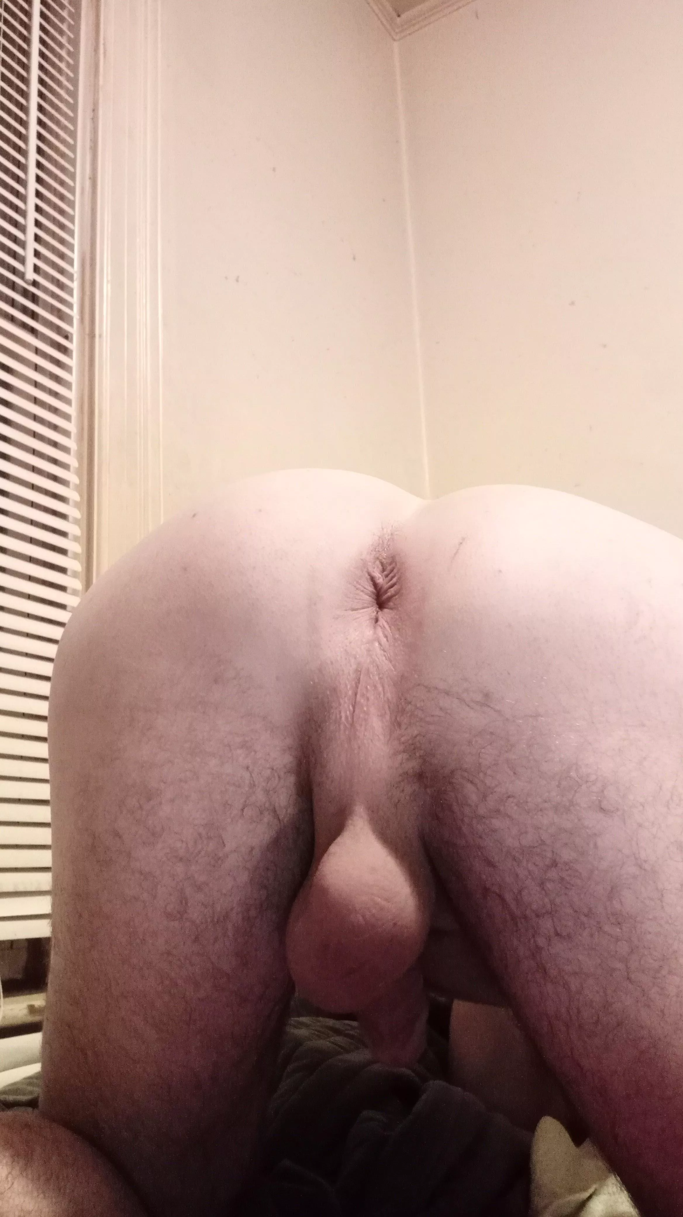 Pump my ass full of cum!