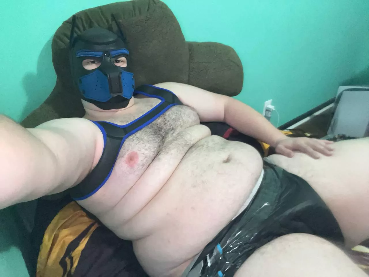 Pup is bored looking for some fun