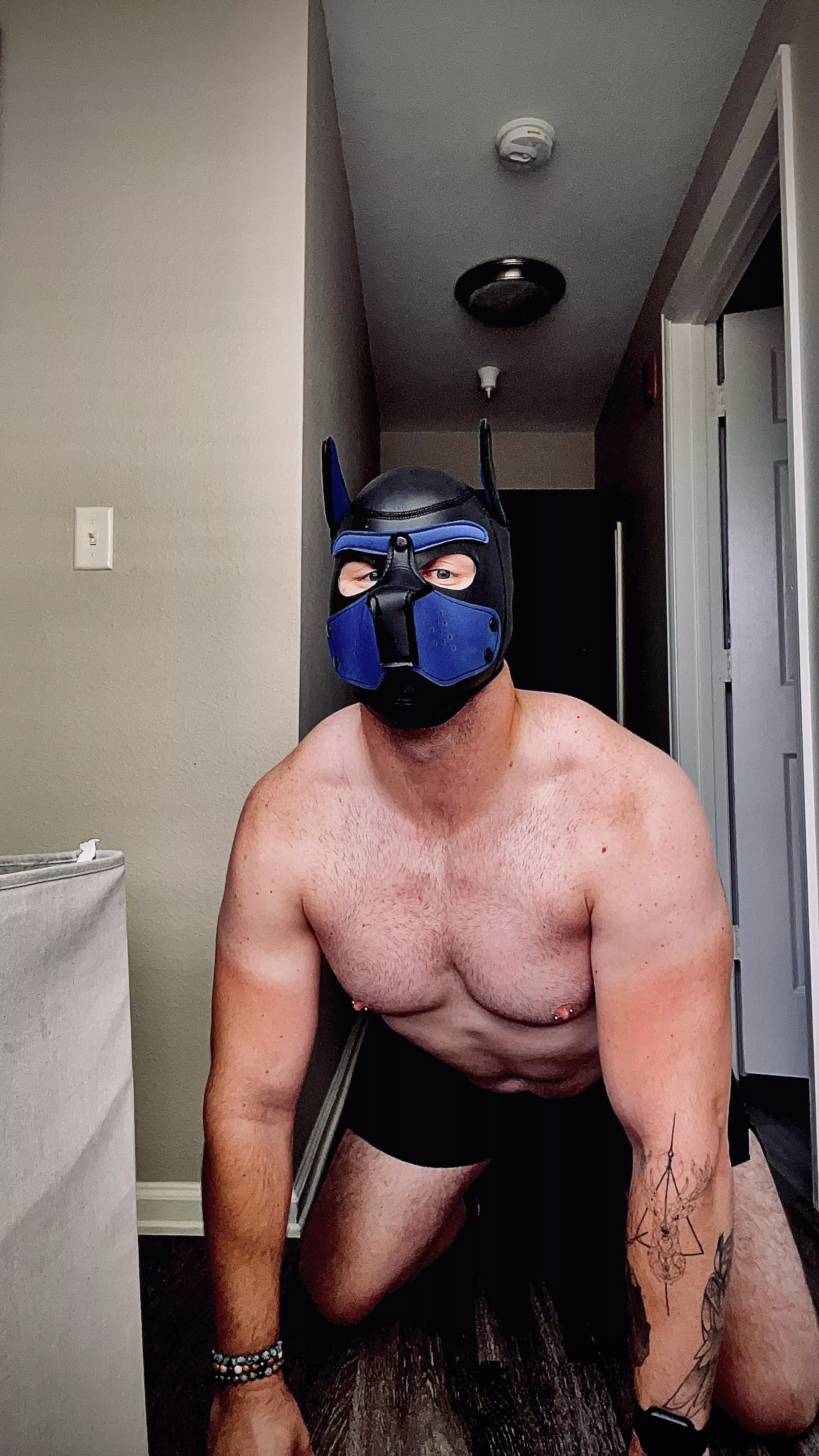 Pup is growing bigger, more alpha and obedient 🤤🐶🔒😈