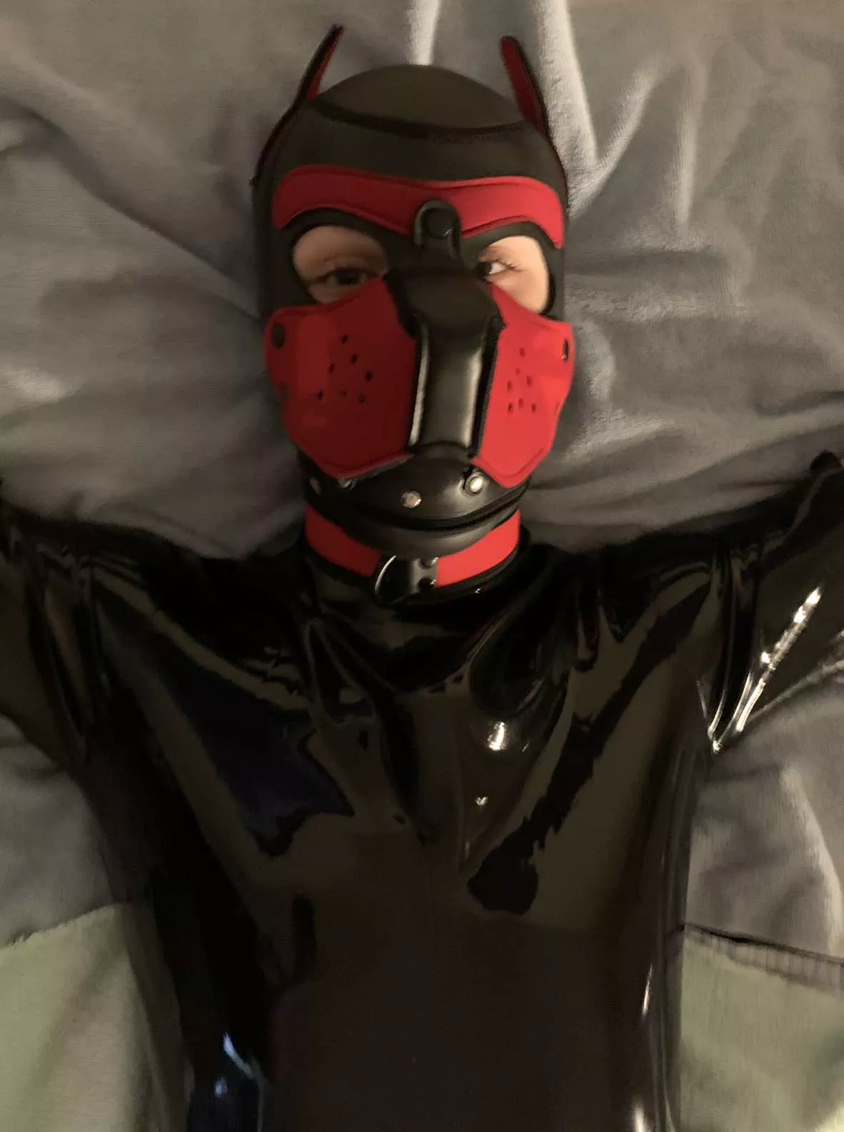 pup is happiest when wet💦