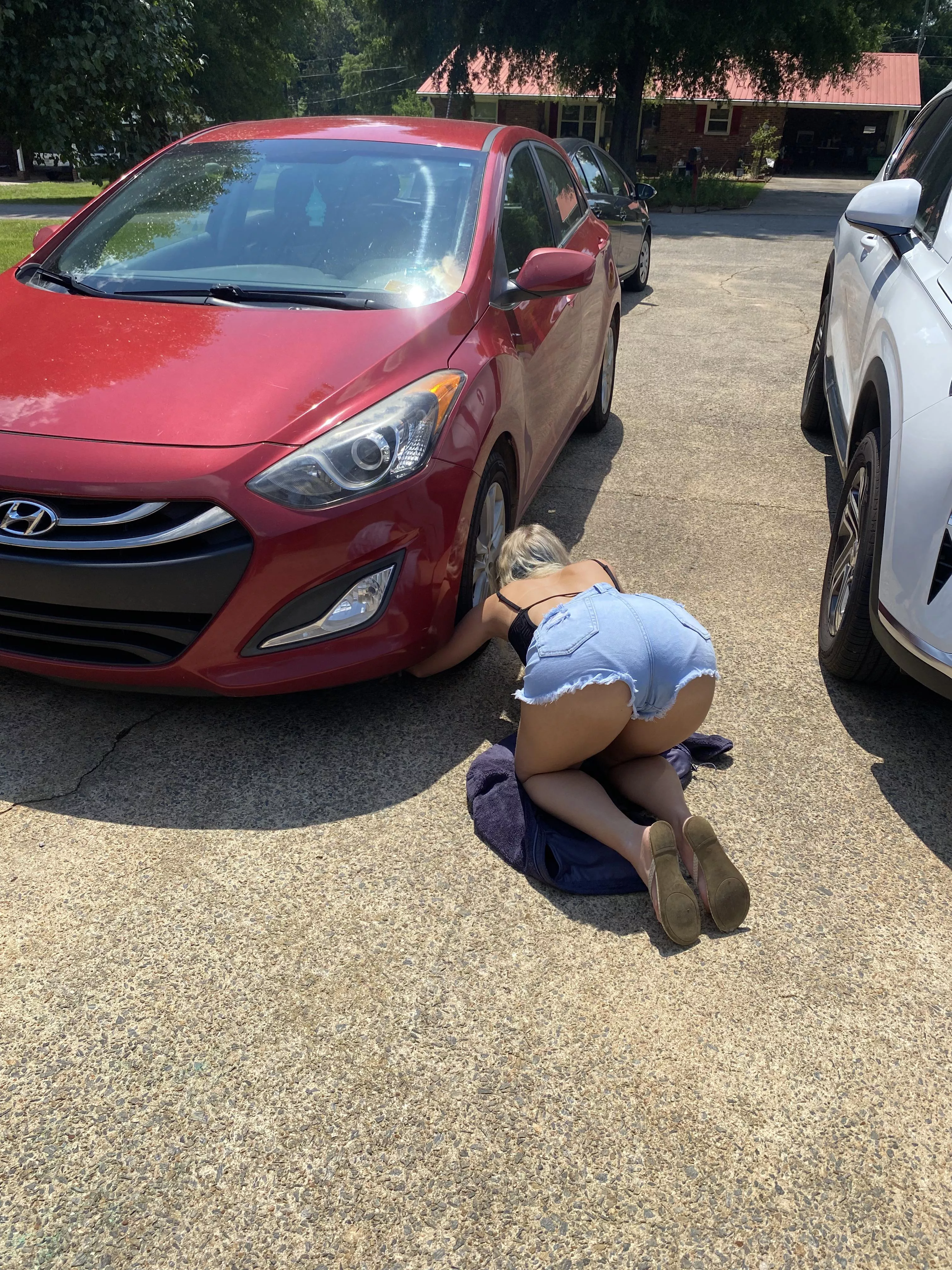 Puppy ran under the car 🤷🏼‍♂️[f]