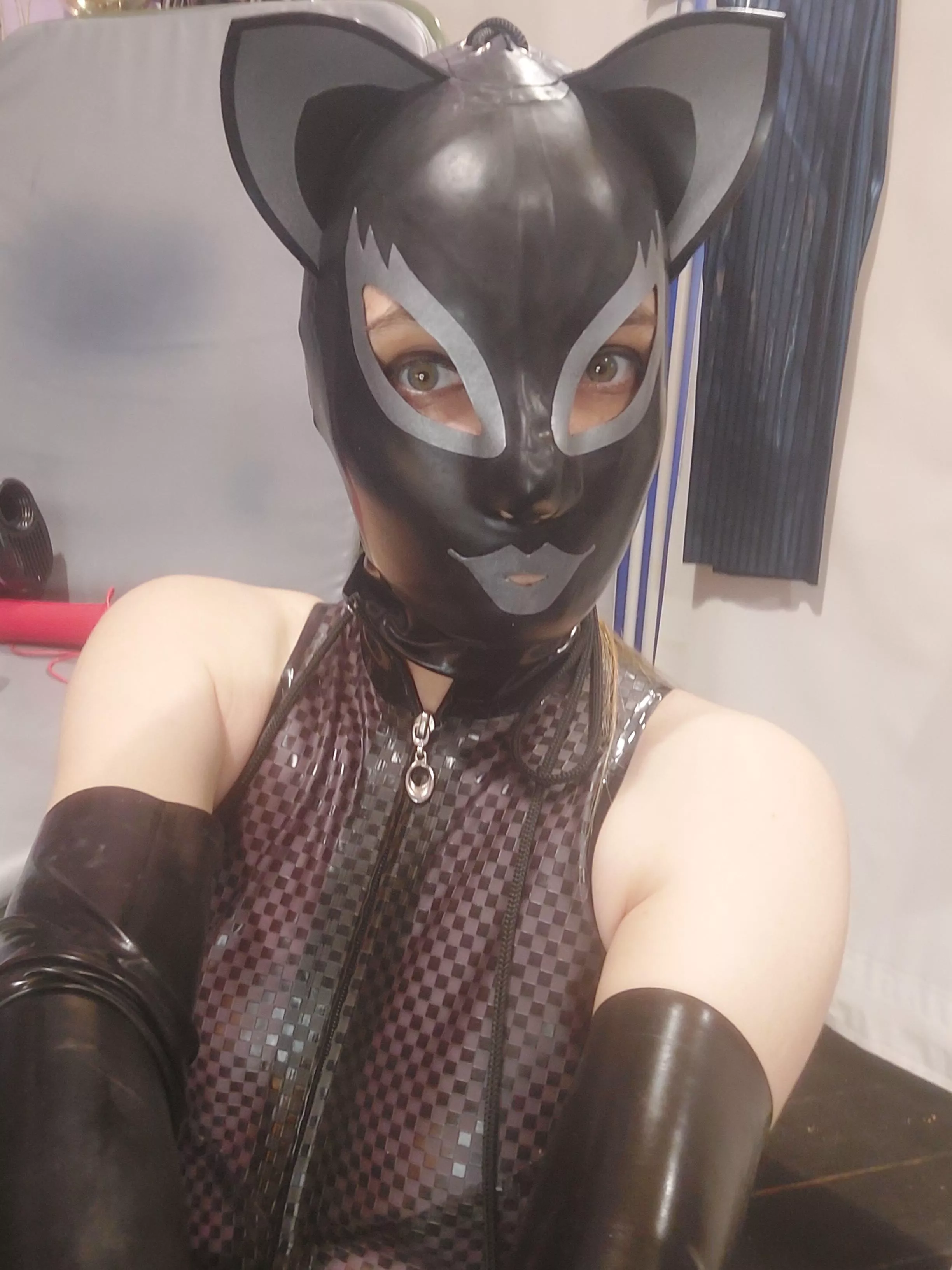 Purrrrr.. Purrrr.. Catgirl here.