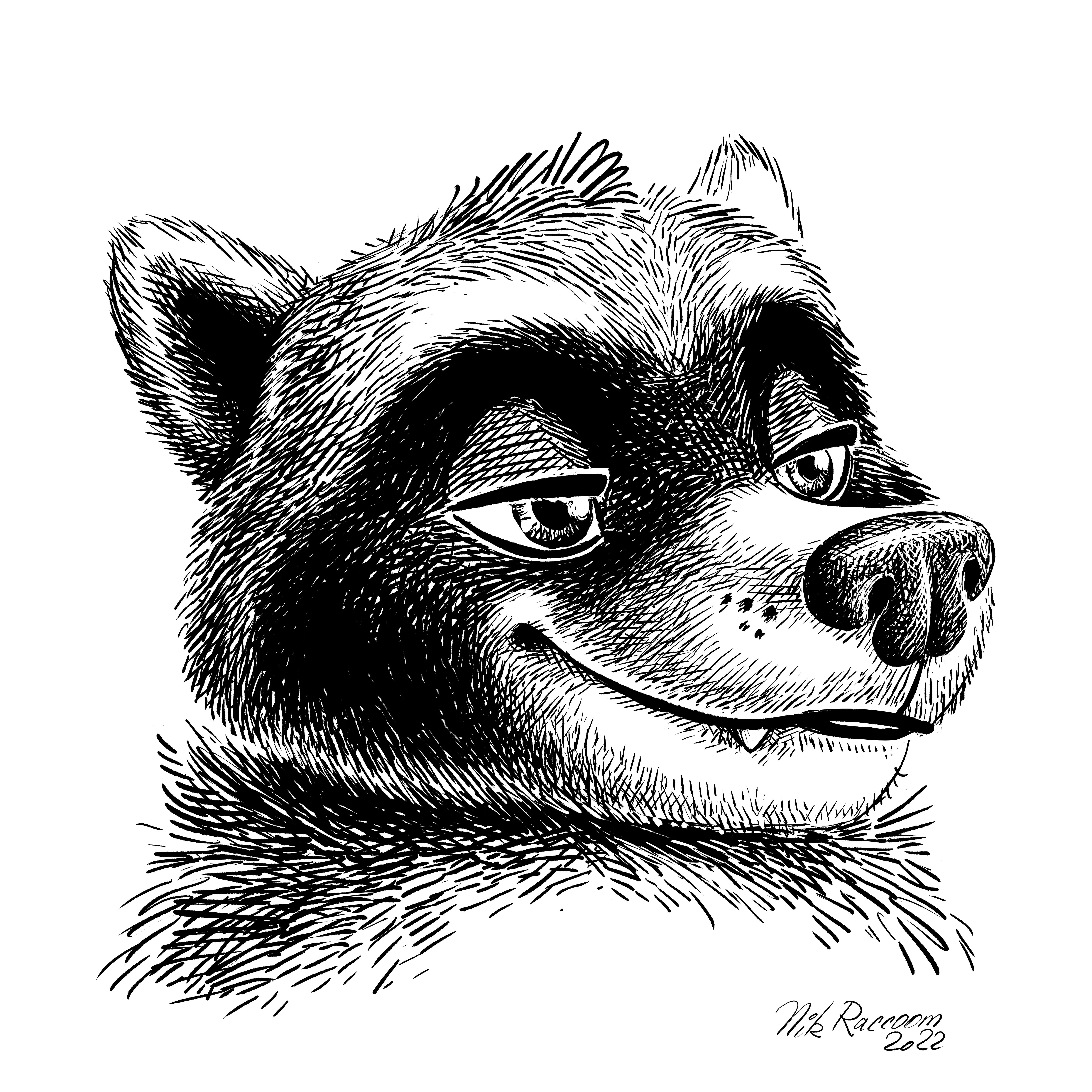 Raccoon portrait. By me