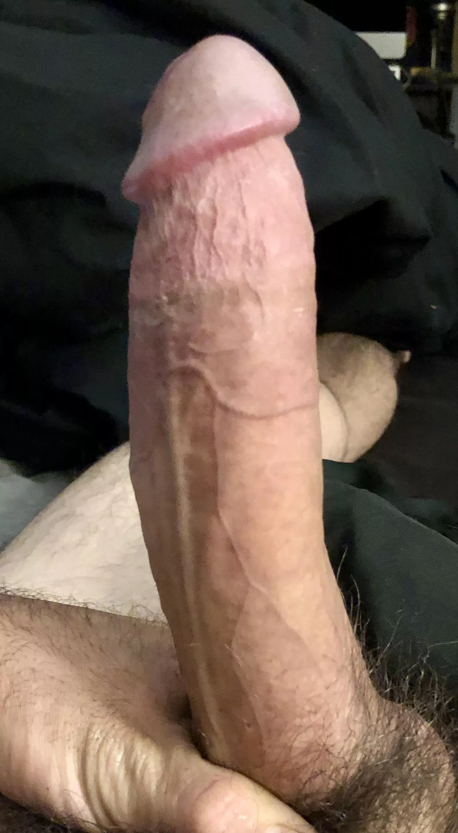 Rate me while my cock throbs