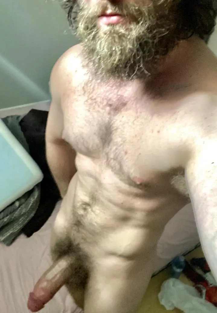 Rate my beard and cock 1-5