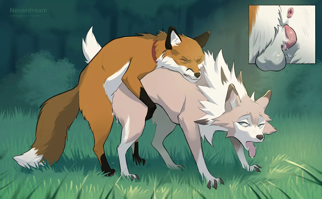 Red Fox x Lycanroc - Hump [MF] (Neverdream)