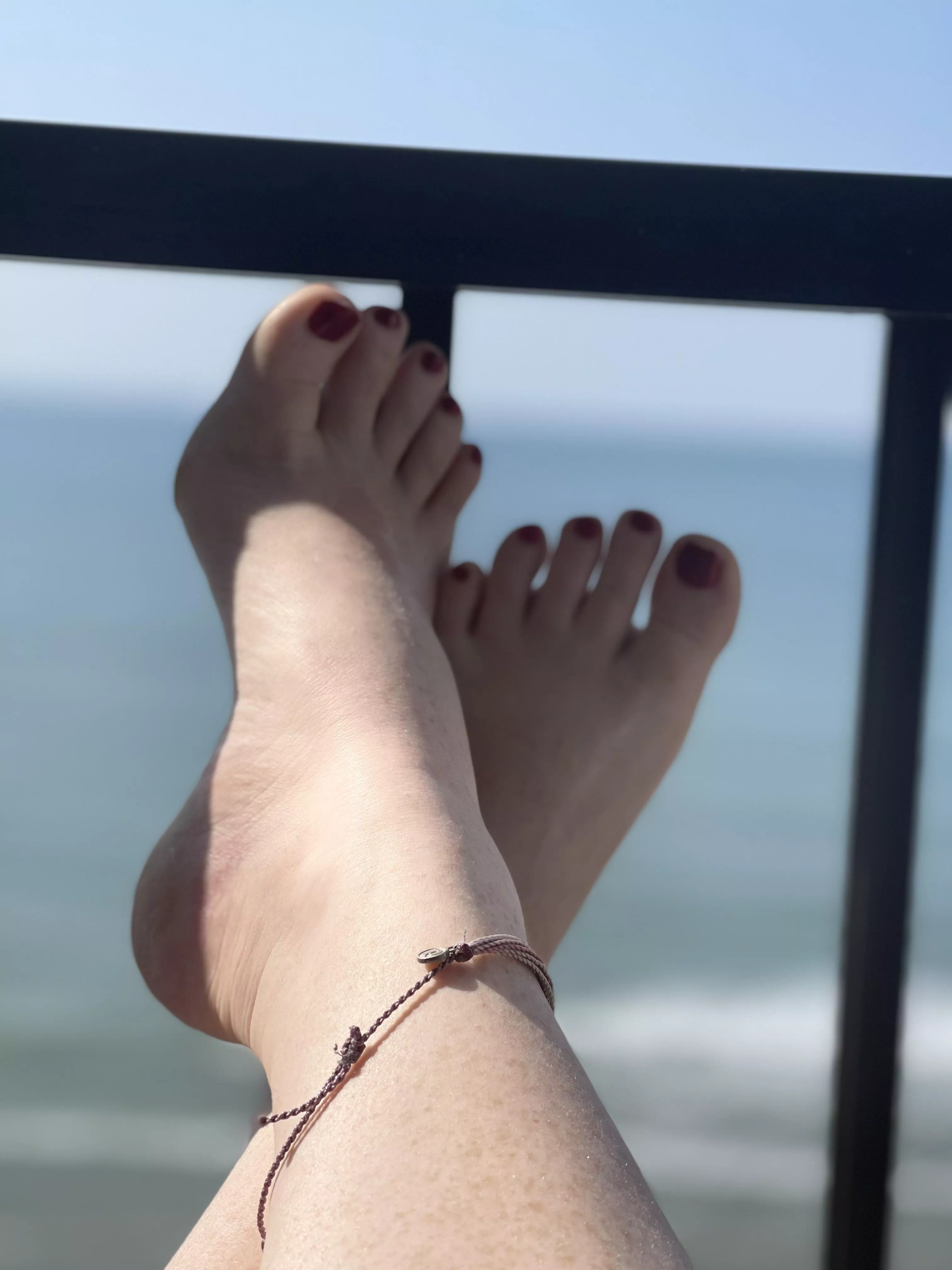 Relaxing on the balcony. Wishing these were getting some attention