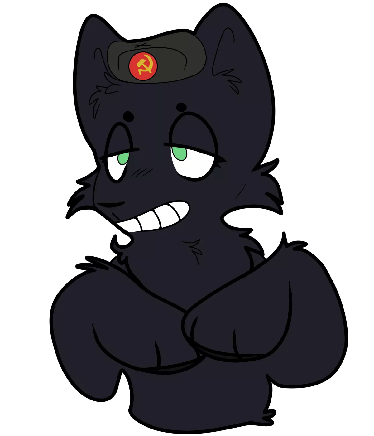 Roast my sona