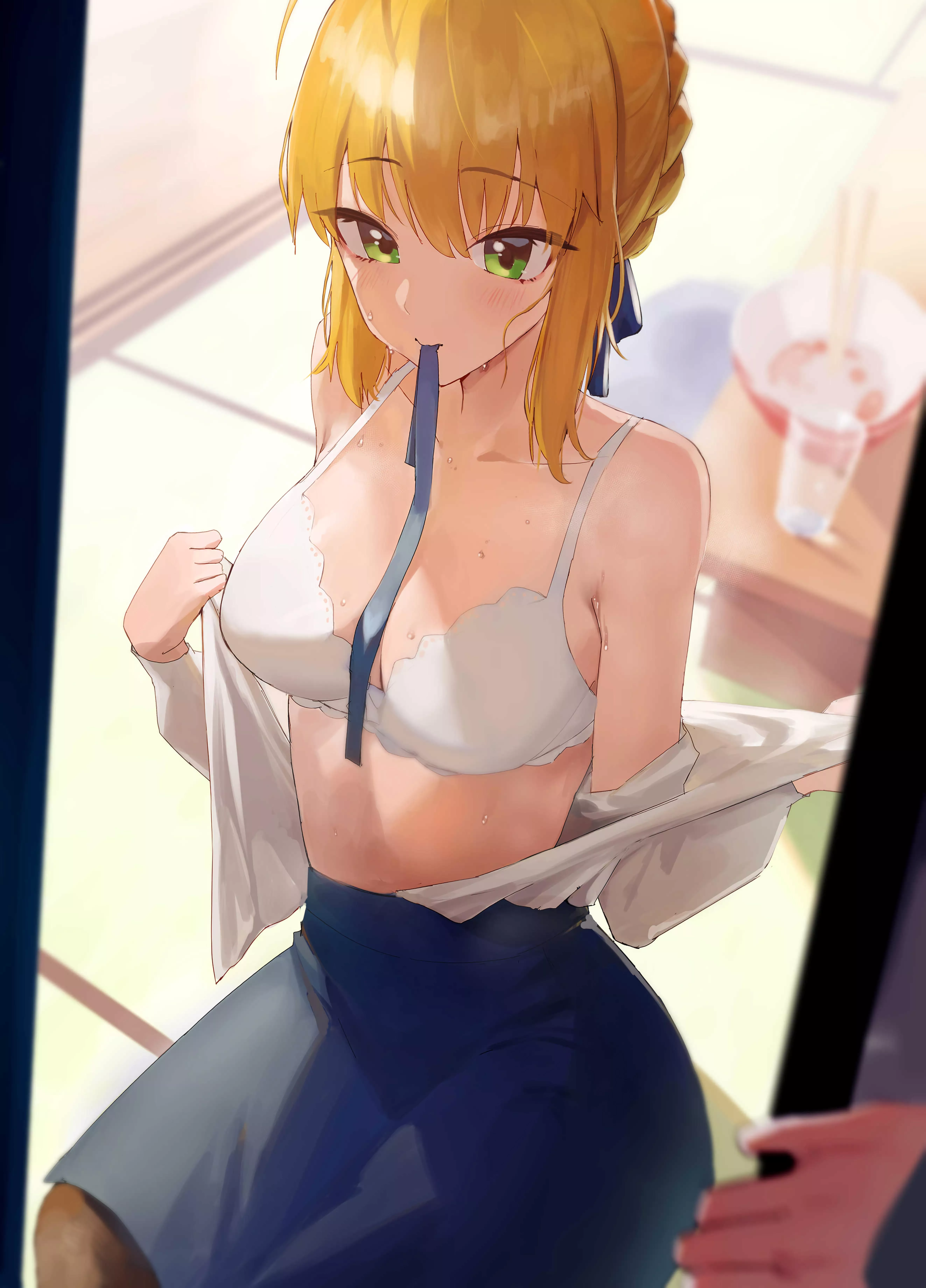 Saber (rororo) [Fate]